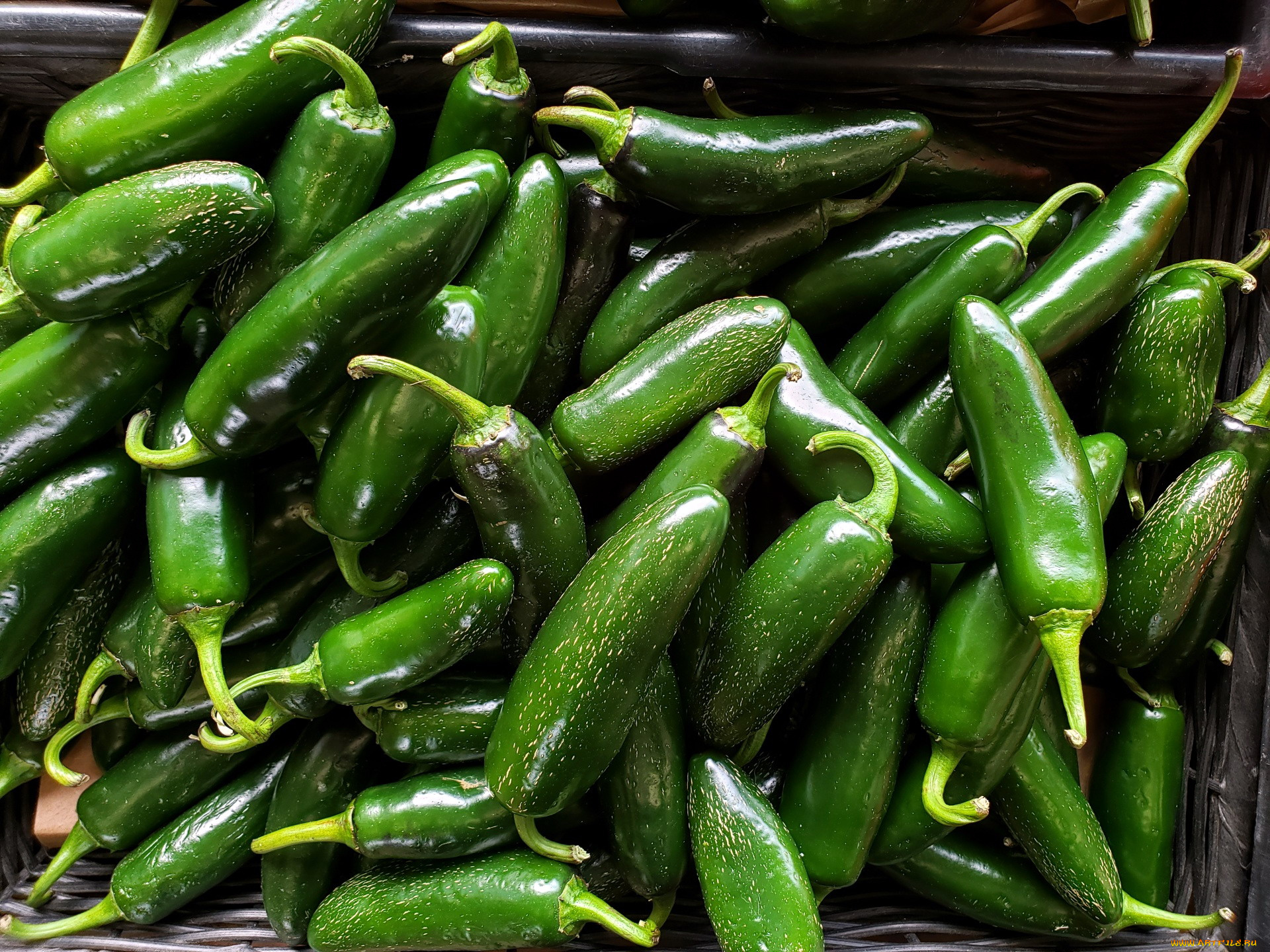 еда, перец, зеленый, стручки