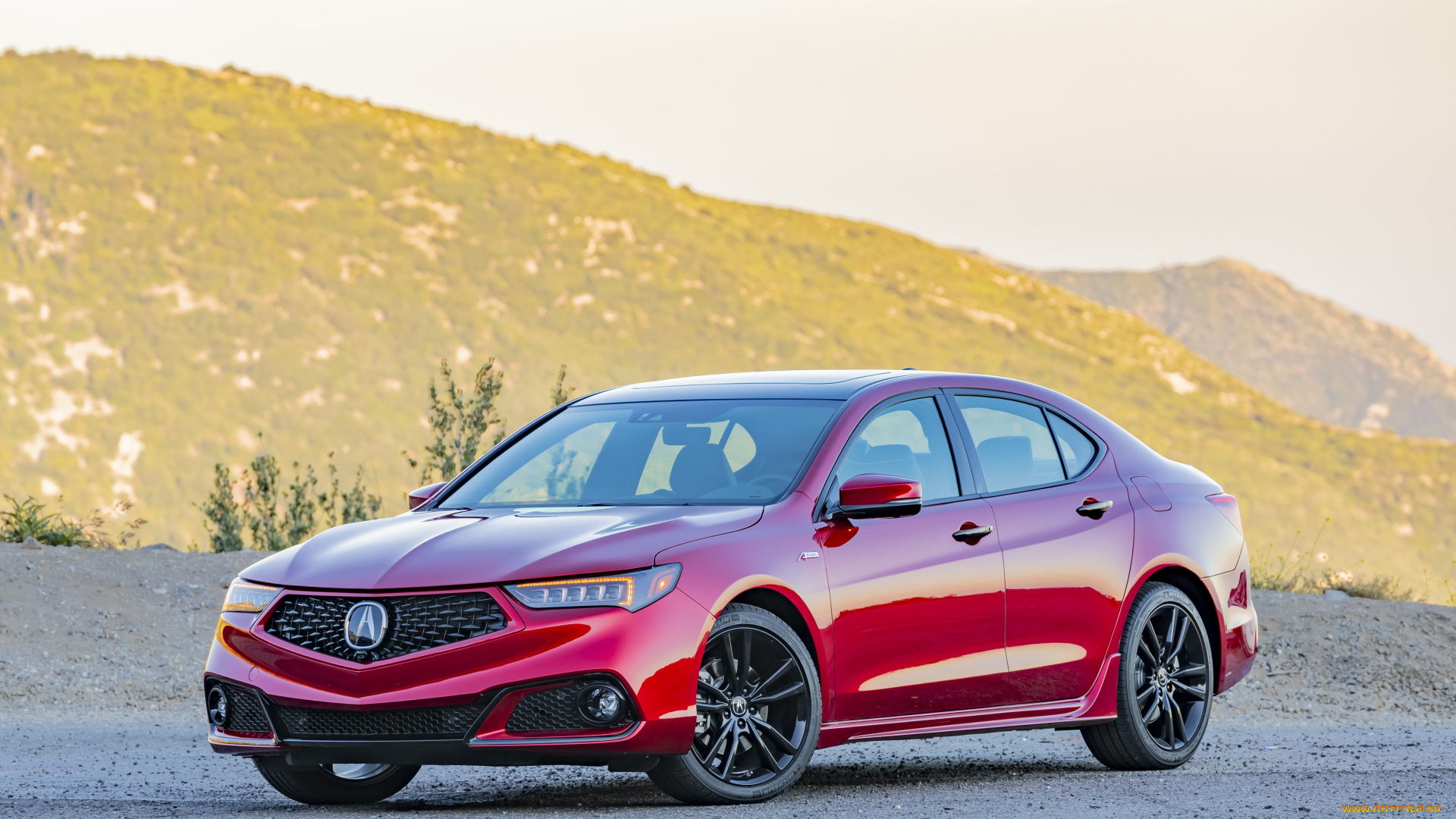 автомобили, acura