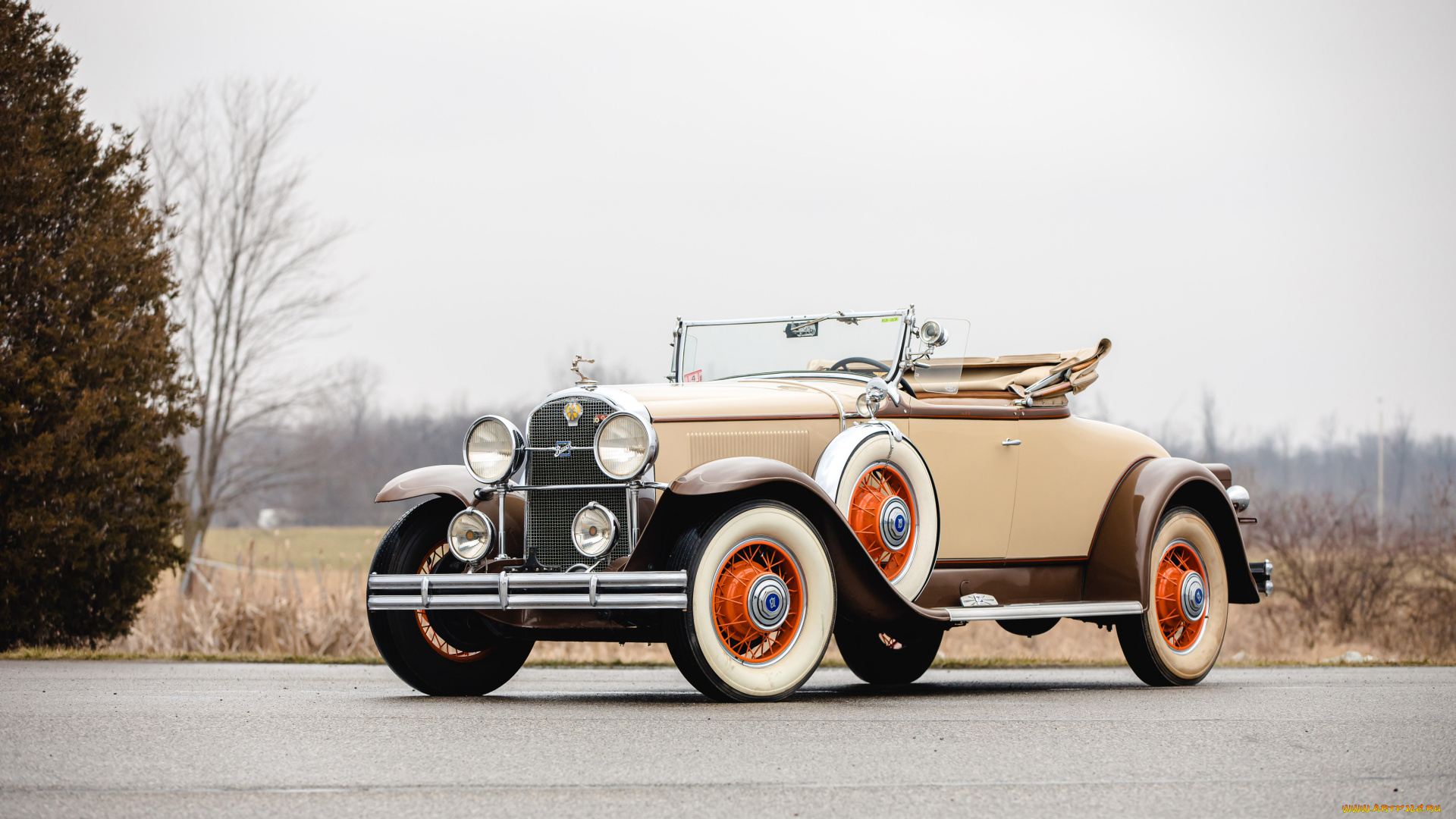 buick, series, 90, sport, roadster, автомобили, классика, buick