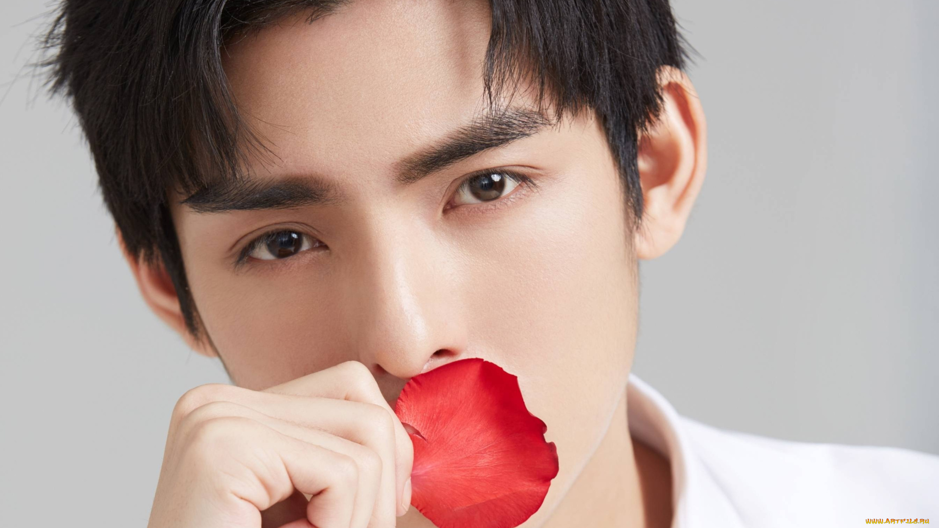 мужчины, wang, hao, xuan, ван, хаосюань, wang, hao, xuan