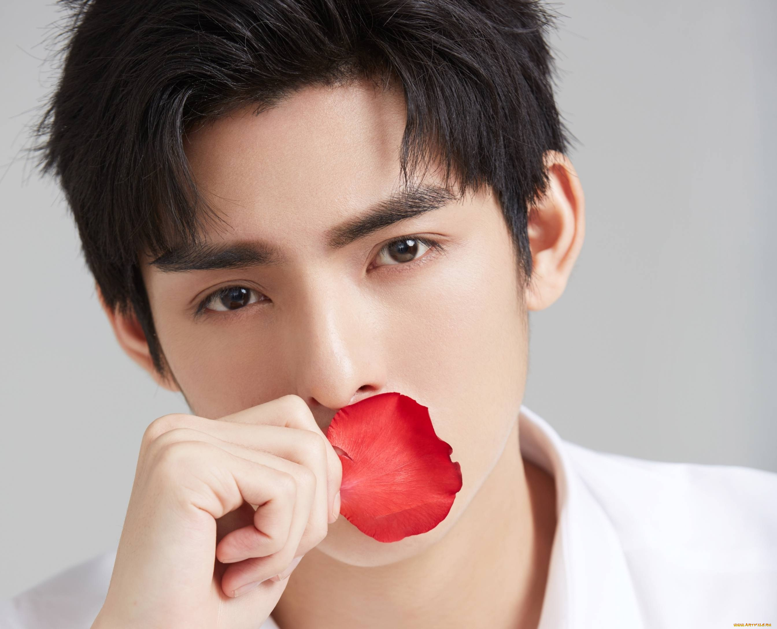 мужчины, wang, hao, xuan, ван, хаосюань, wang, hao, xuan