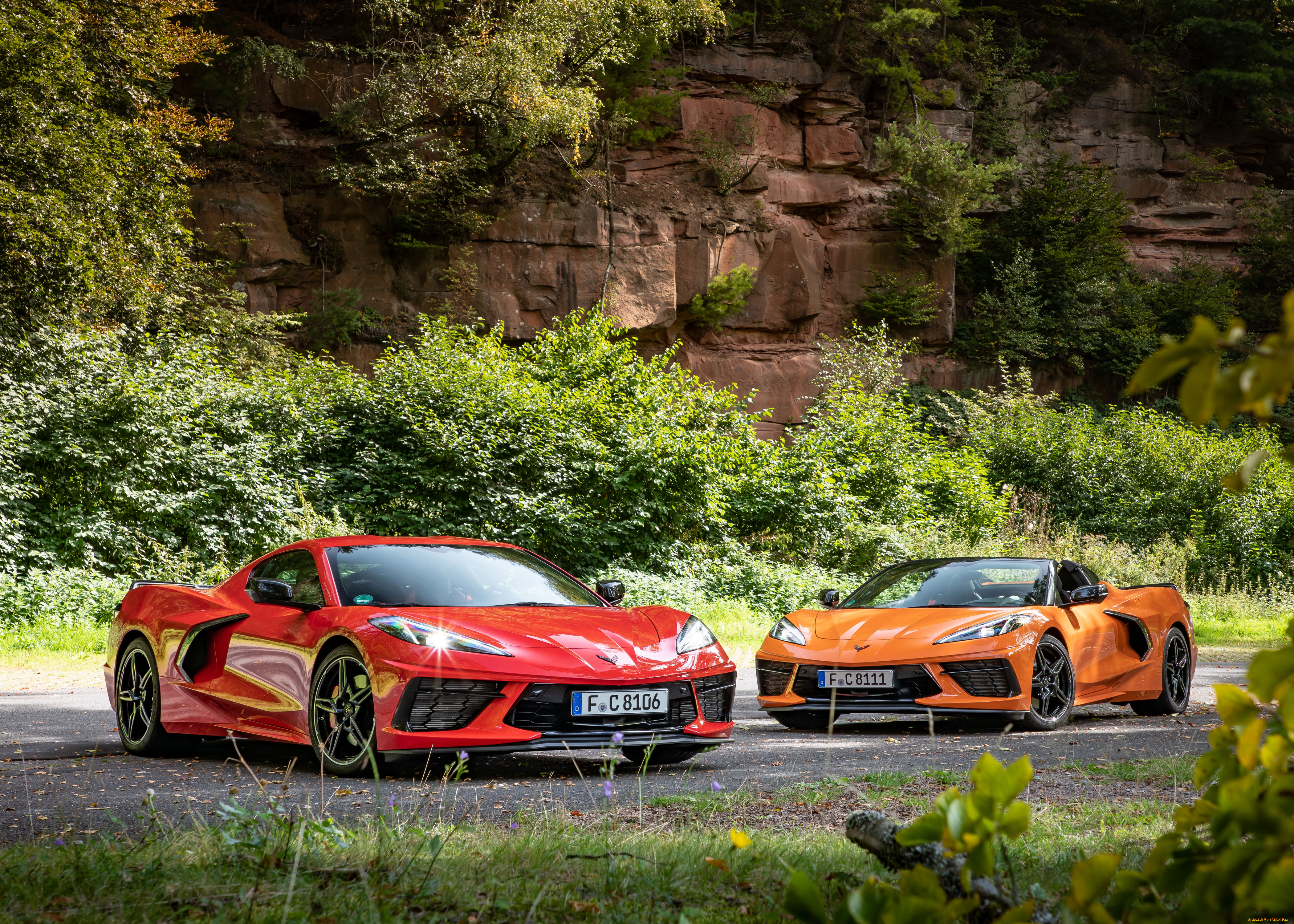 автомобили, corvette