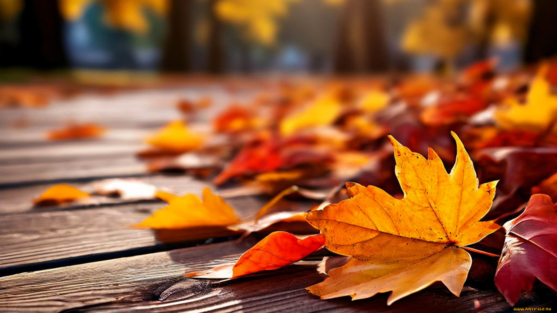 3д, графика, природа, , nature, листья, осень, деревья, стол