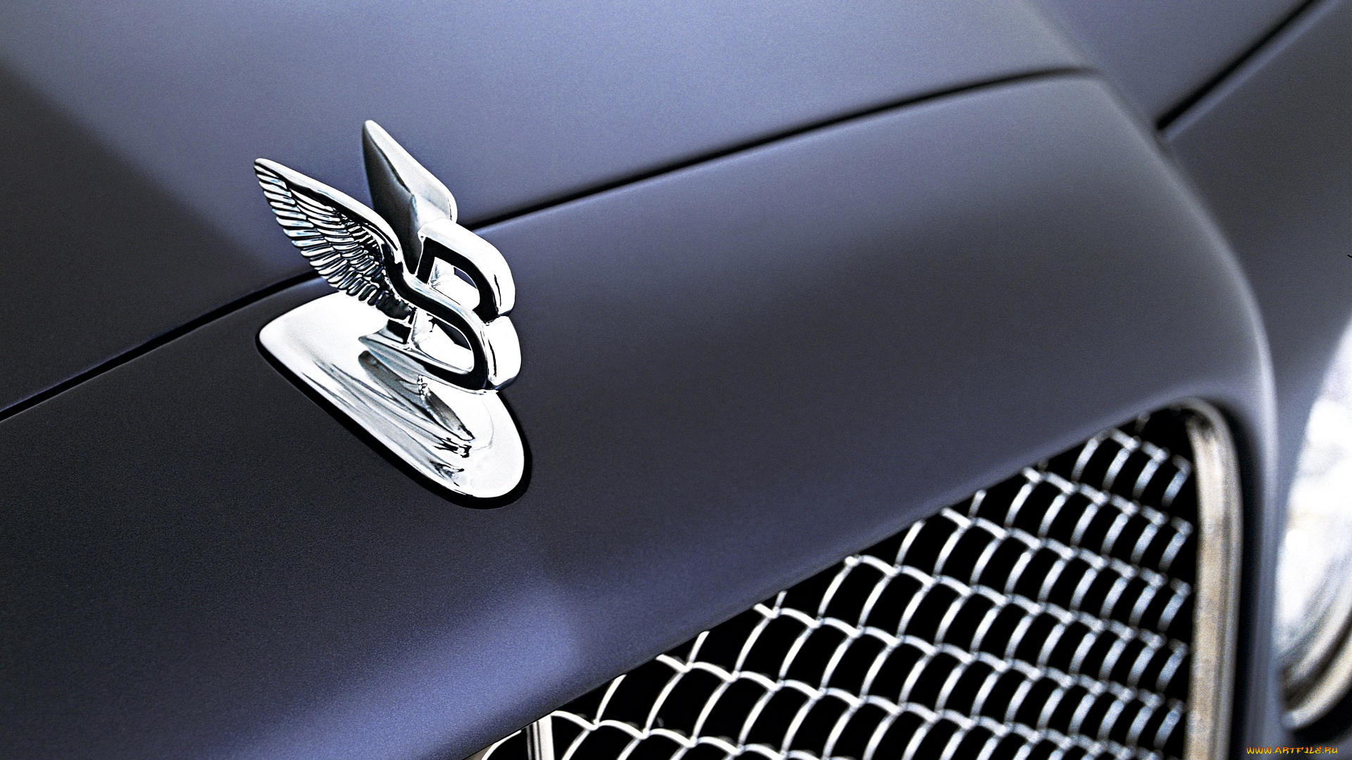 автомобили, фрагменты, автомобиля, серый, капот, значок, решетка