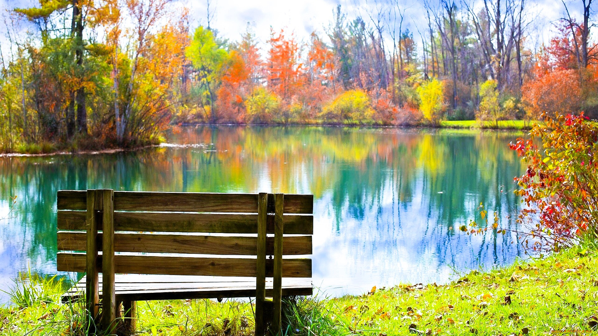 природа, реки, озера, лес, осень, деревья, озеро, скамейка