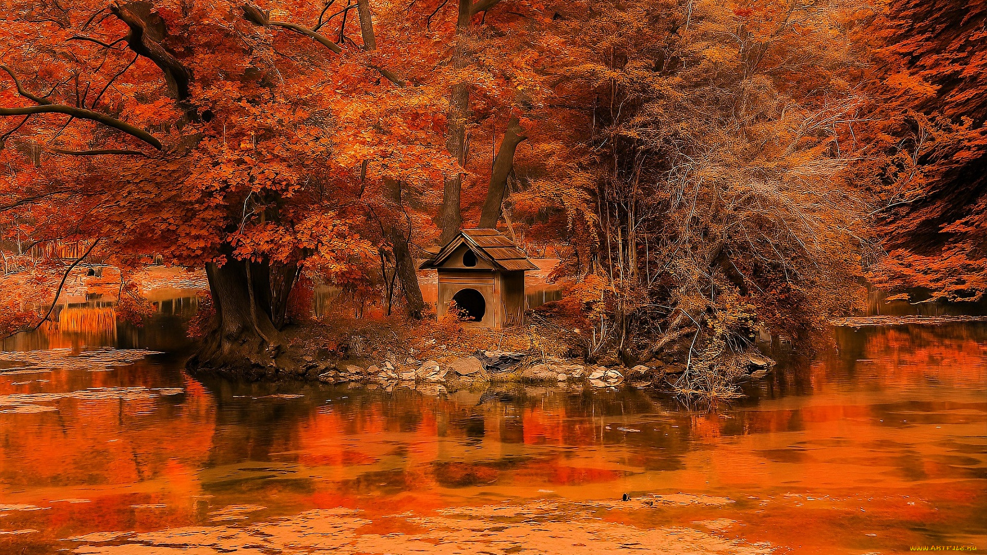разное, компьютерный, дизайн, парк, осень, деревья, озеро, листья, будка