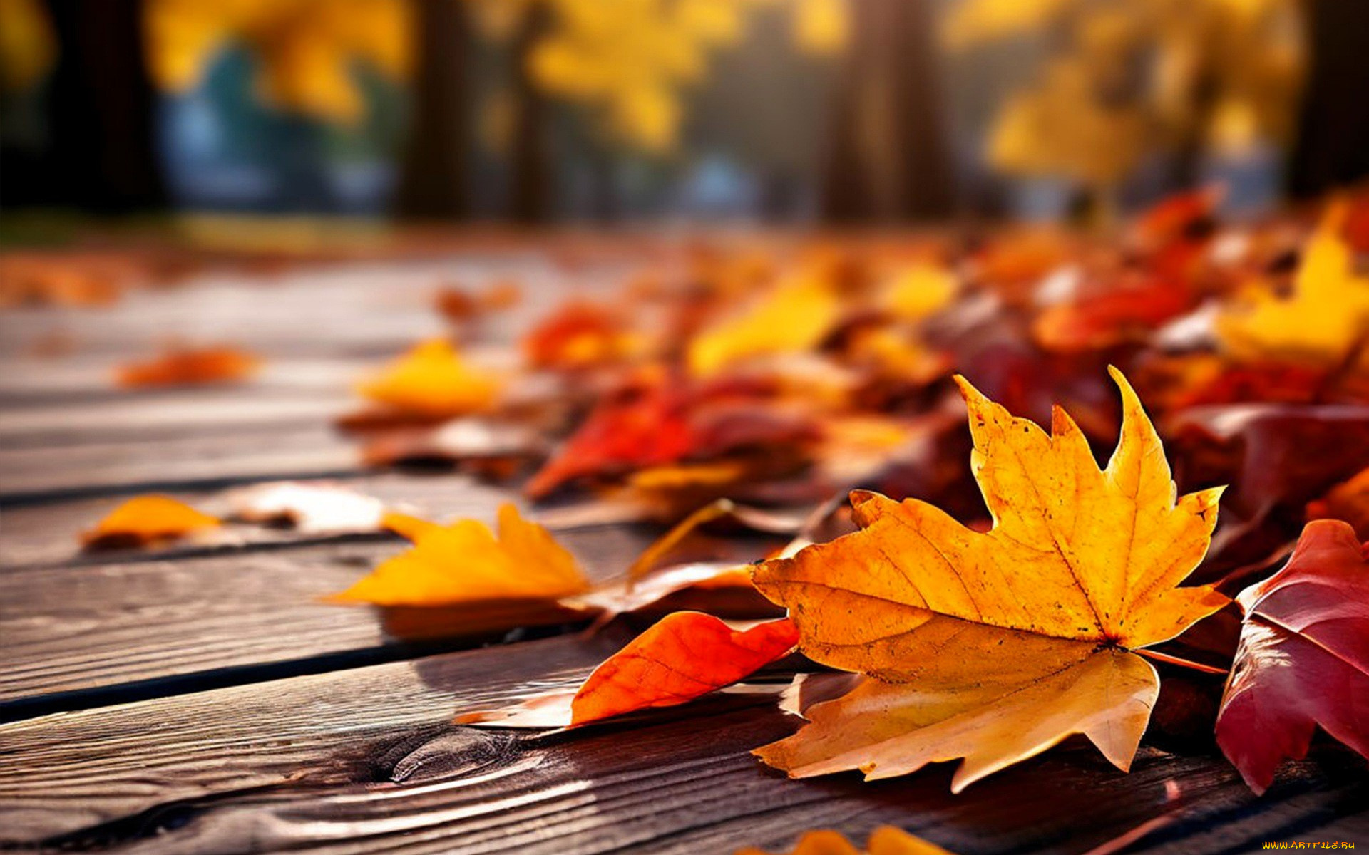 3д, графика, природа, , nature, листья, осень, деревья, стол