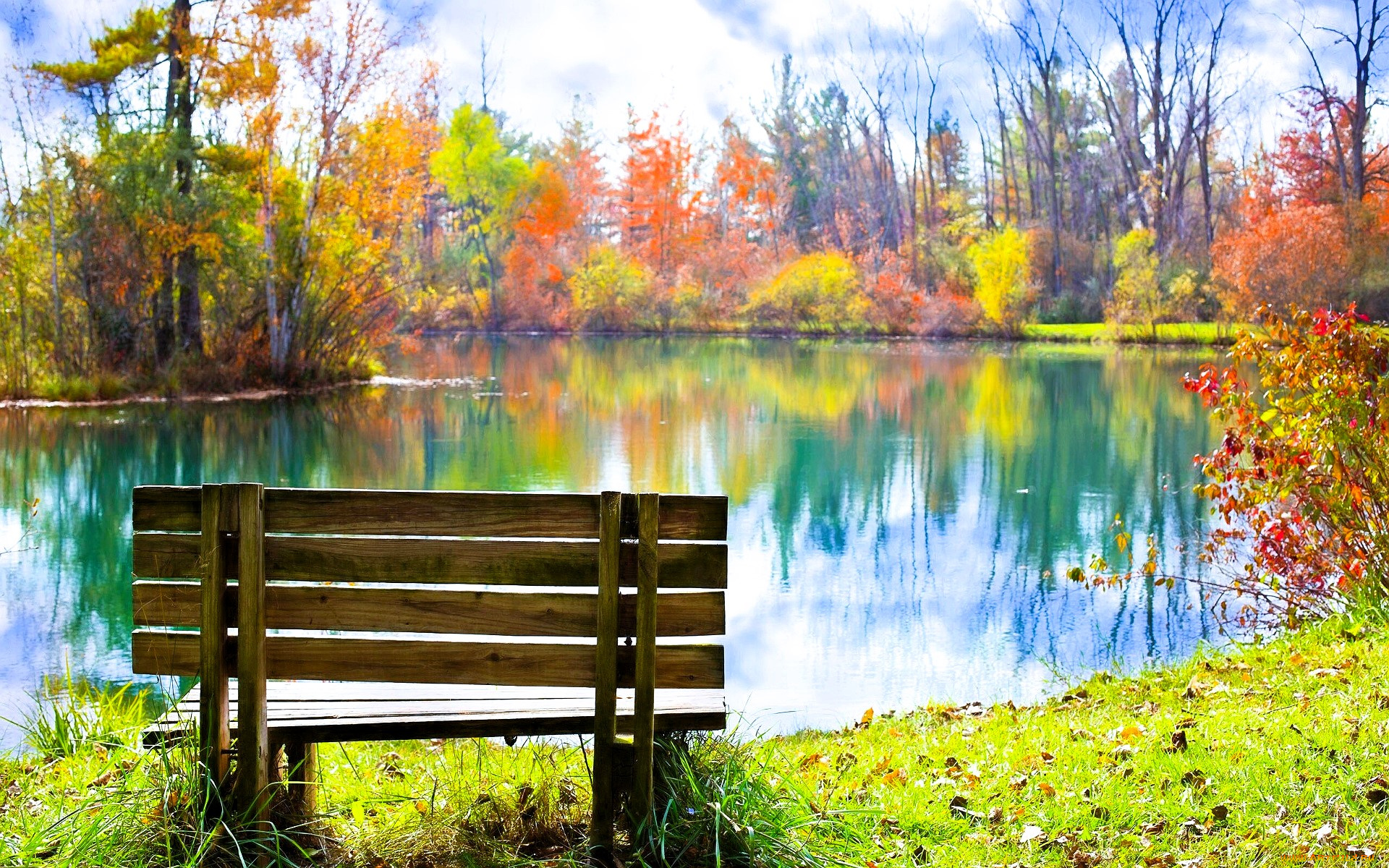 природа, реки, озера, лес, осень, деревья, озеро, скамейка