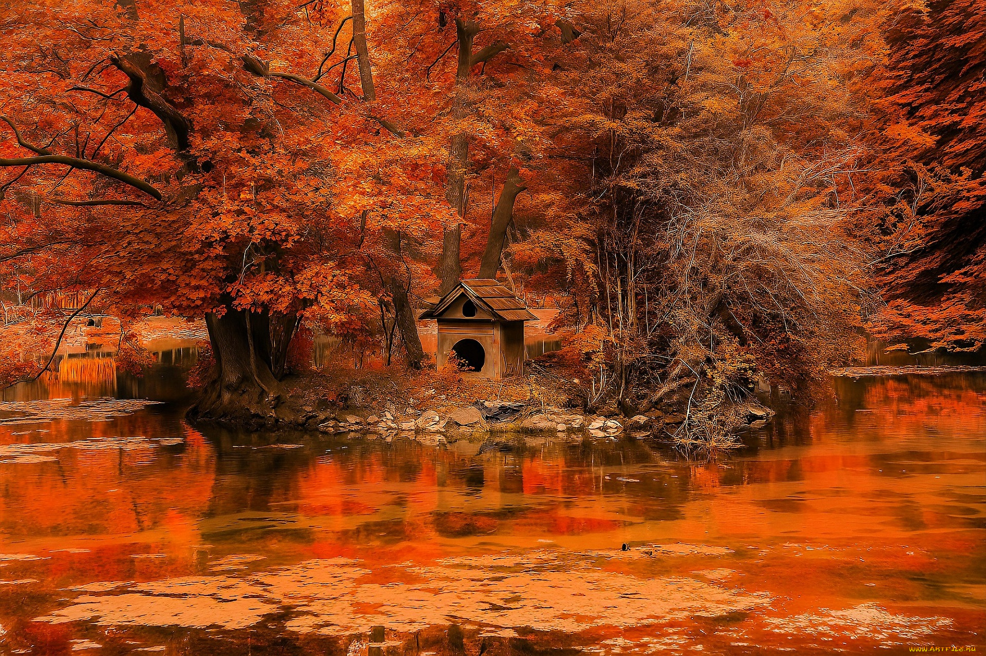 разное, компьютерный, дизайн, парк, осень, деревья, озеро, листья, будка