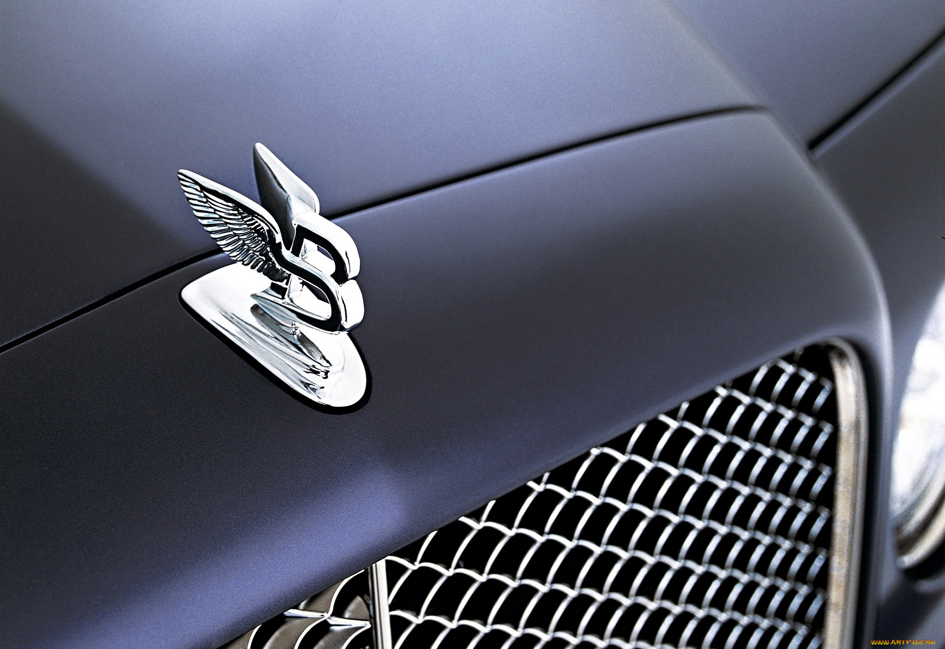 автомобили, фрагменты, автомобиля, серый, капот, значок, решетка