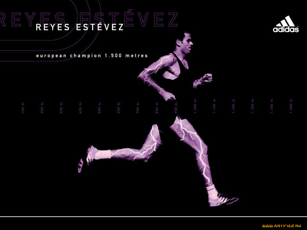 бренды, adidas