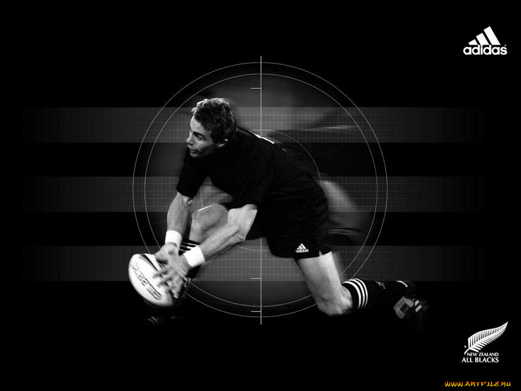 бренды, adidas