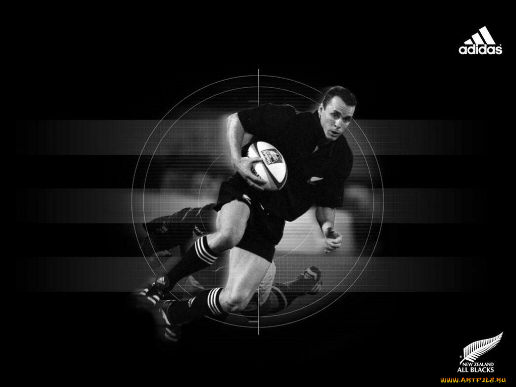 бренды, adidas