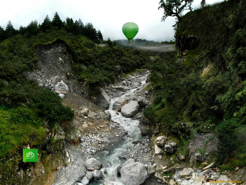 бренды, нтв