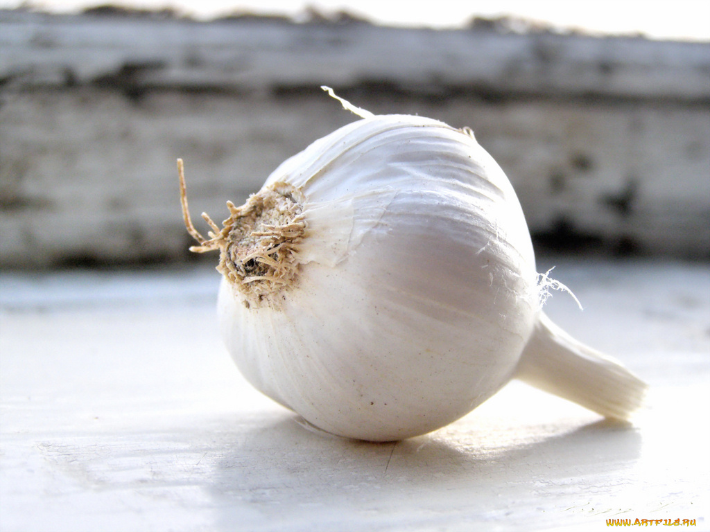 еда, Чеснок