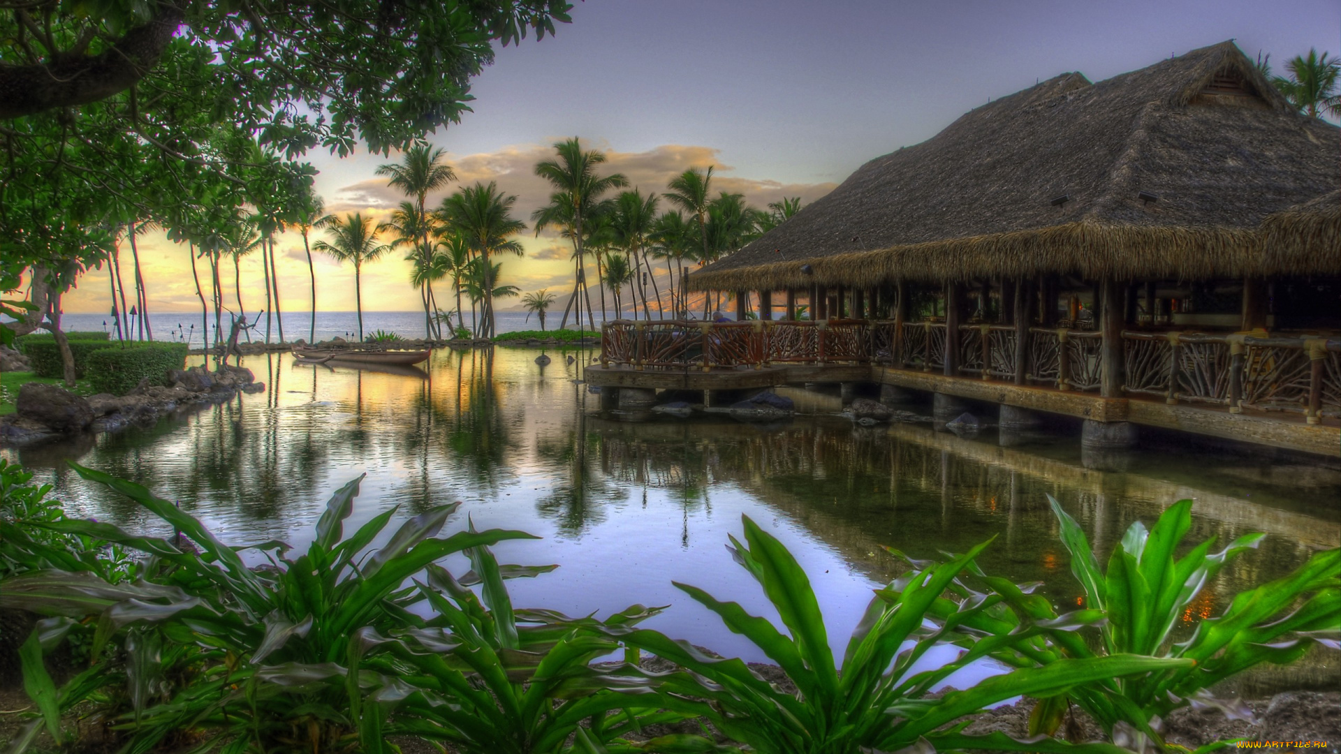 природа, тропики