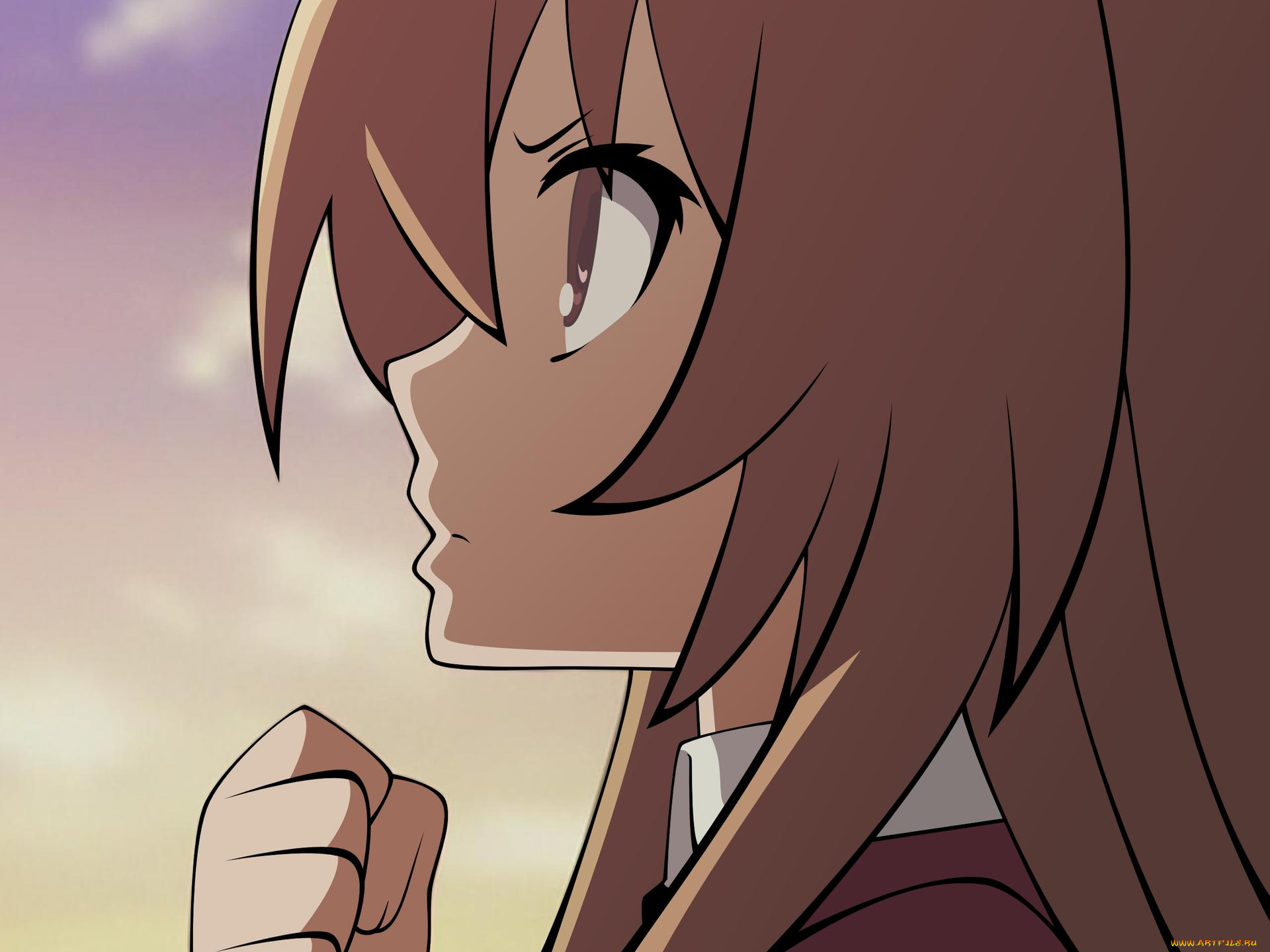 аниме, toradora