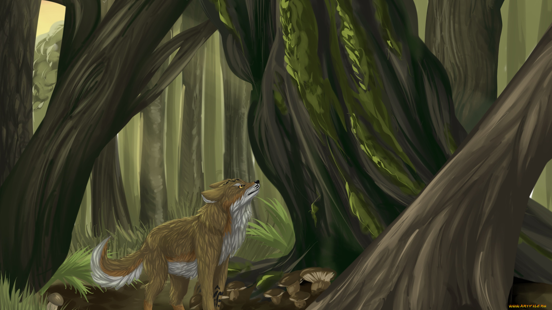 рисованное, животные, , волки, лес, взгляд, волк, фон