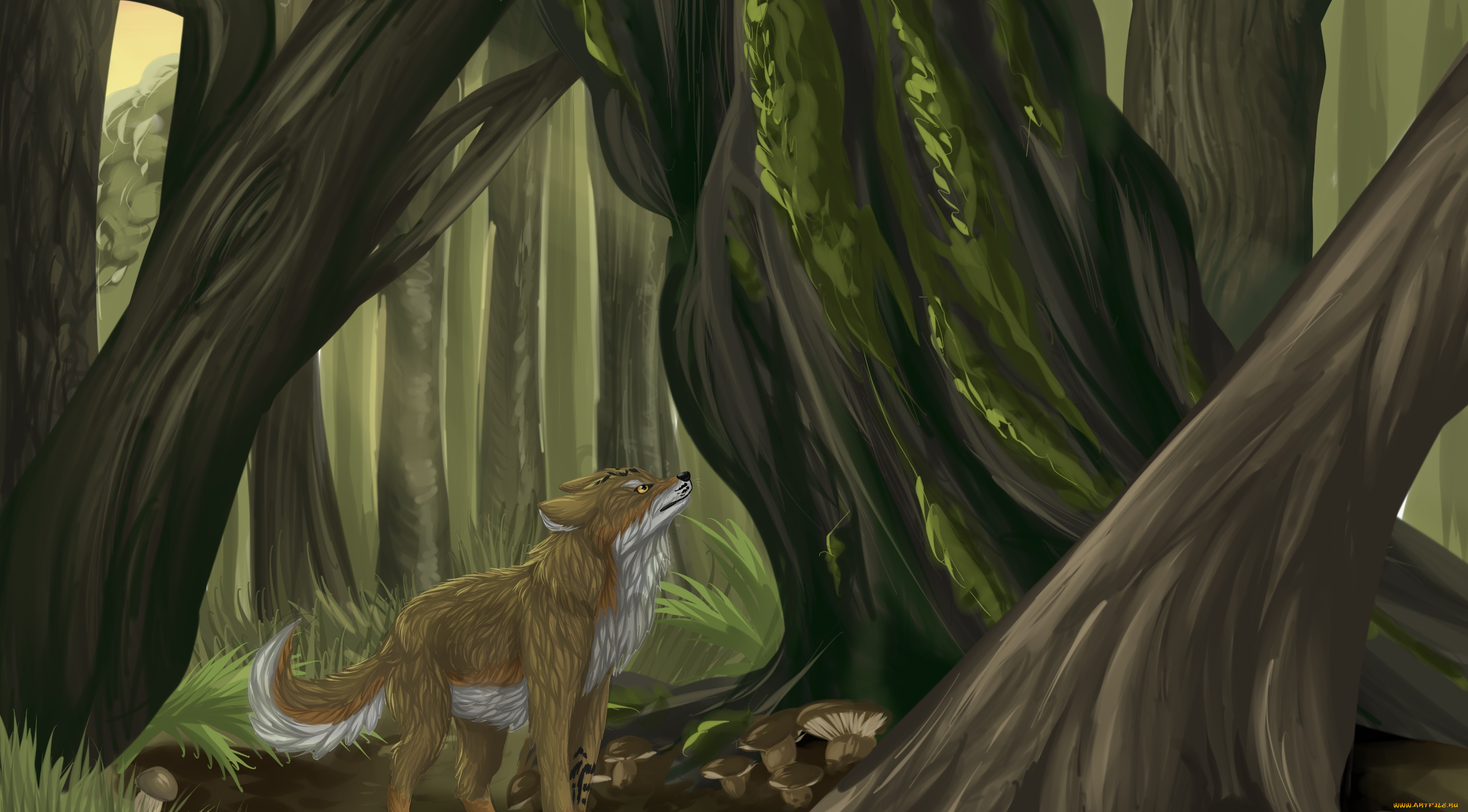 рисованное, животные, , волки, лес, взгляд, волк, фон