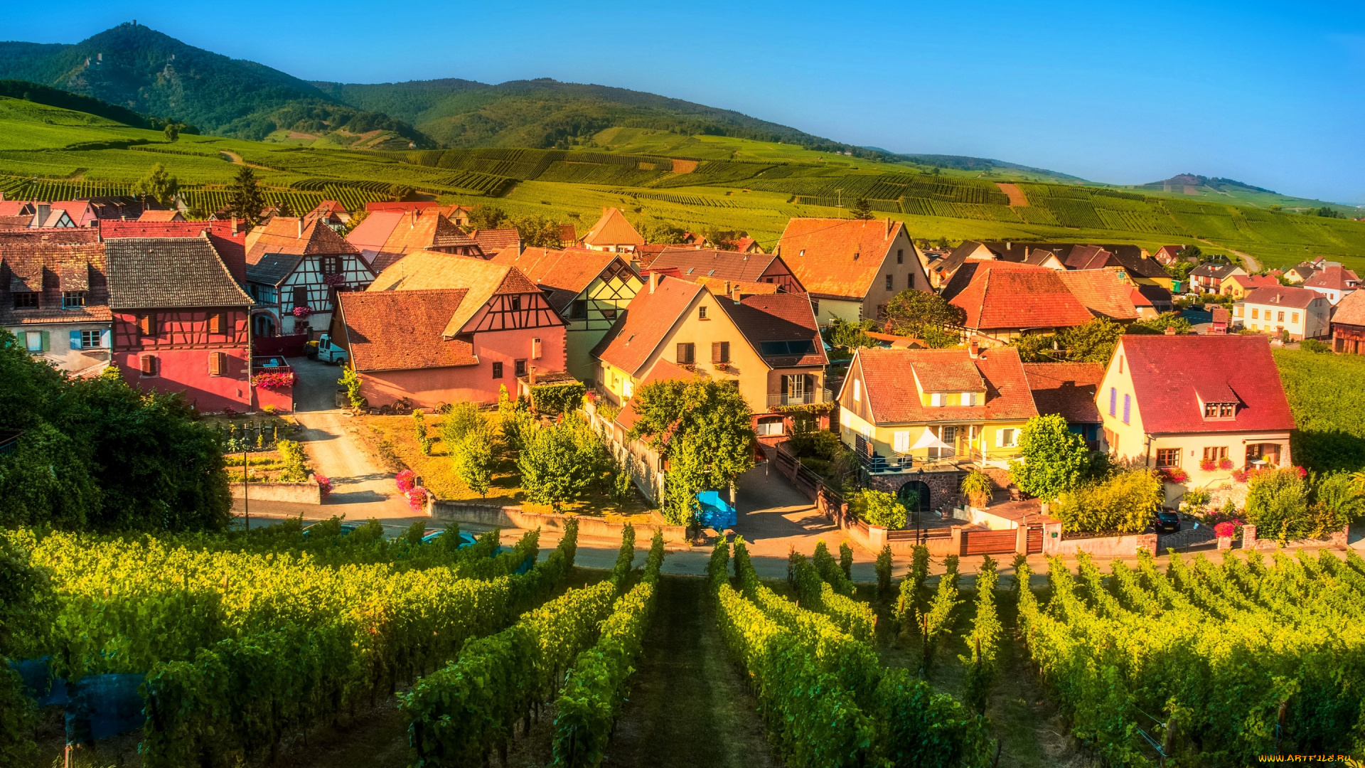 города, -, пейзажи, hunawihr, лето, солнечно, франция, небо, плантации, поля, дома, посёлок, зелень