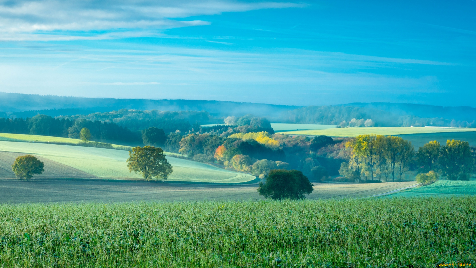 природа, пейзажи, холмы, осень, поля, деревья