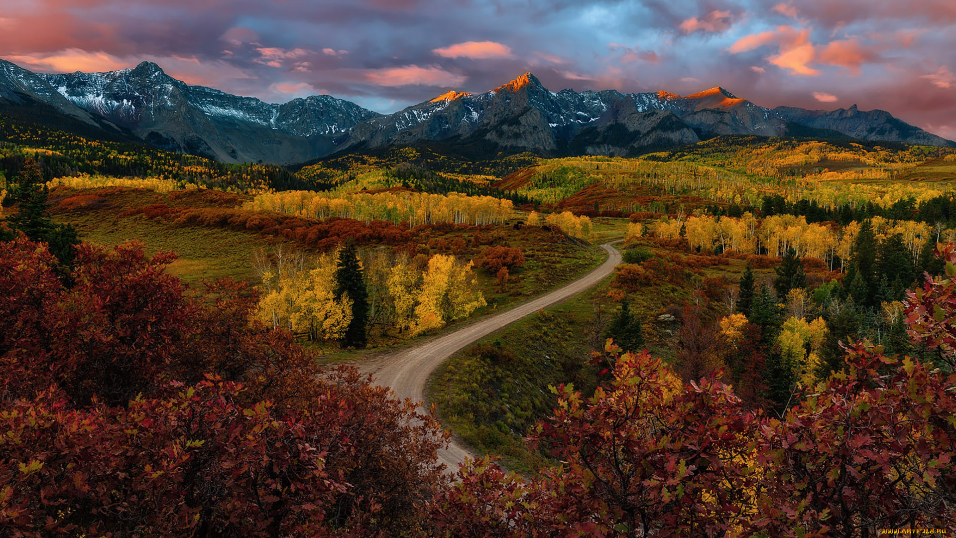 природа, пейзажи, лес, дорога