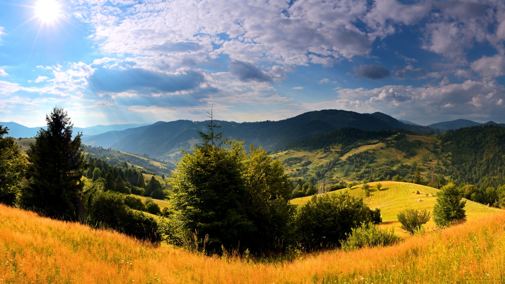 природа, пейзажи, леса, карпаты, трава, деревья, луга, поля, горы, украина, небо, солнце, облака, красота