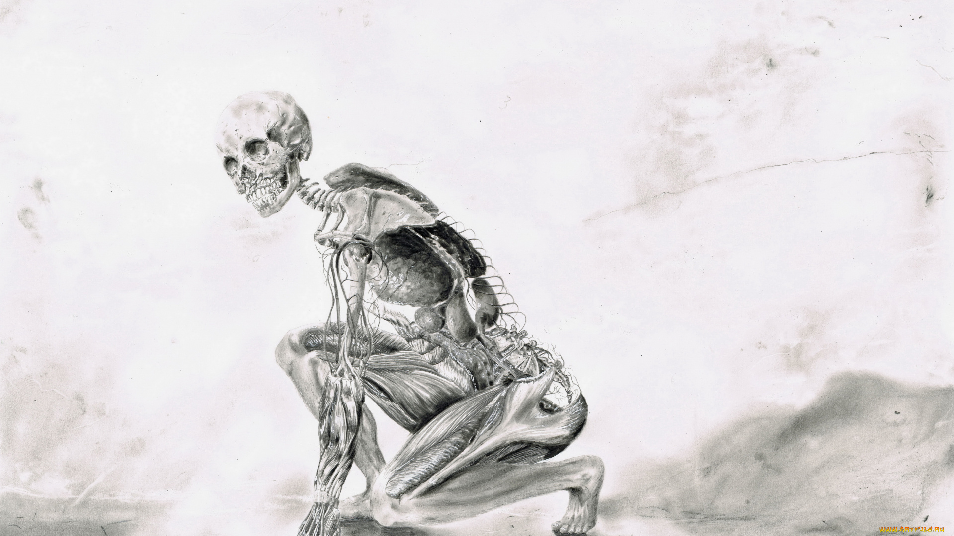 рисованное, абстракция, скилет, фон, взгляд