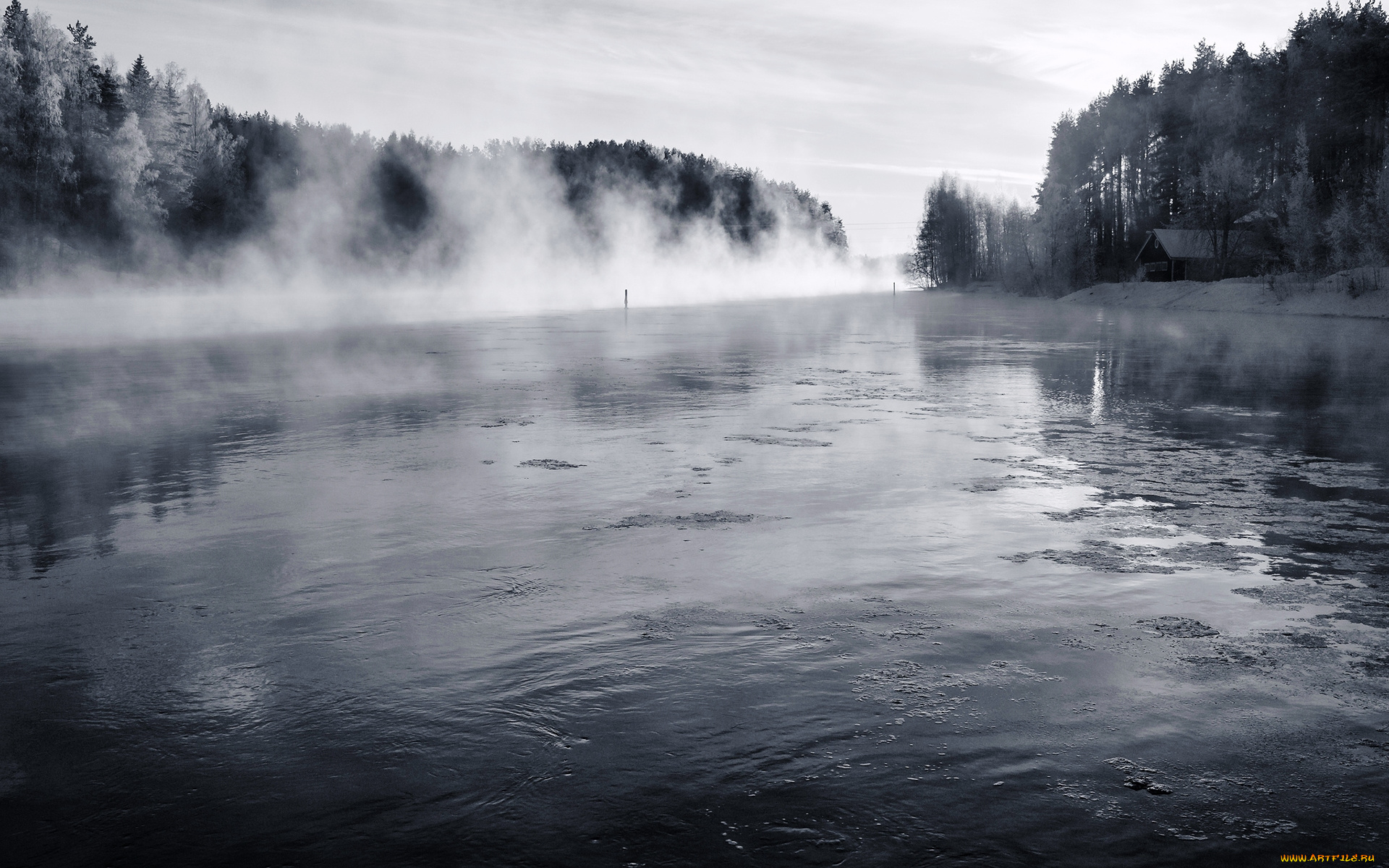 природа, реки, озера, дом, берега, лес, пар, река