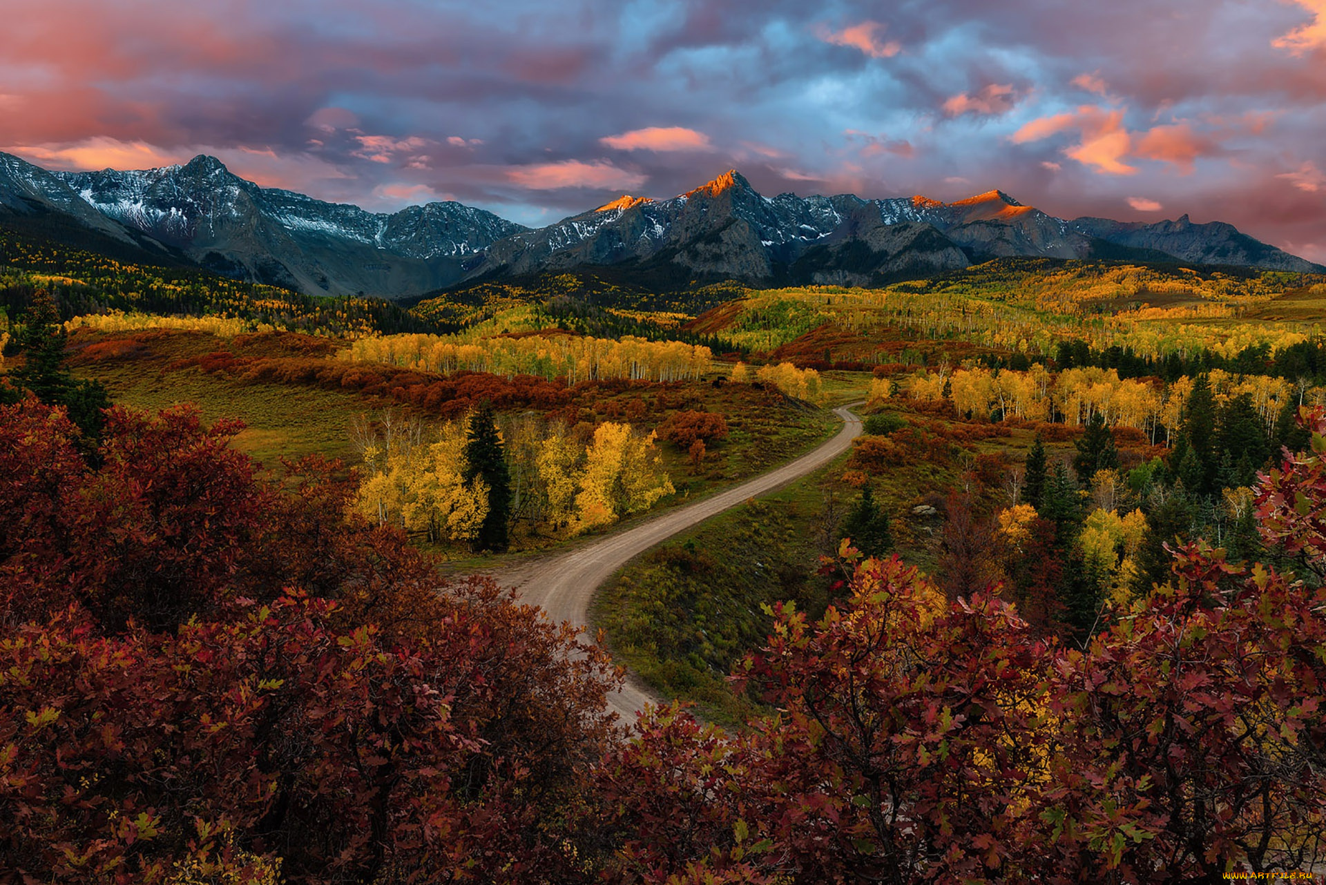природа, пейзажи, лес, дорога