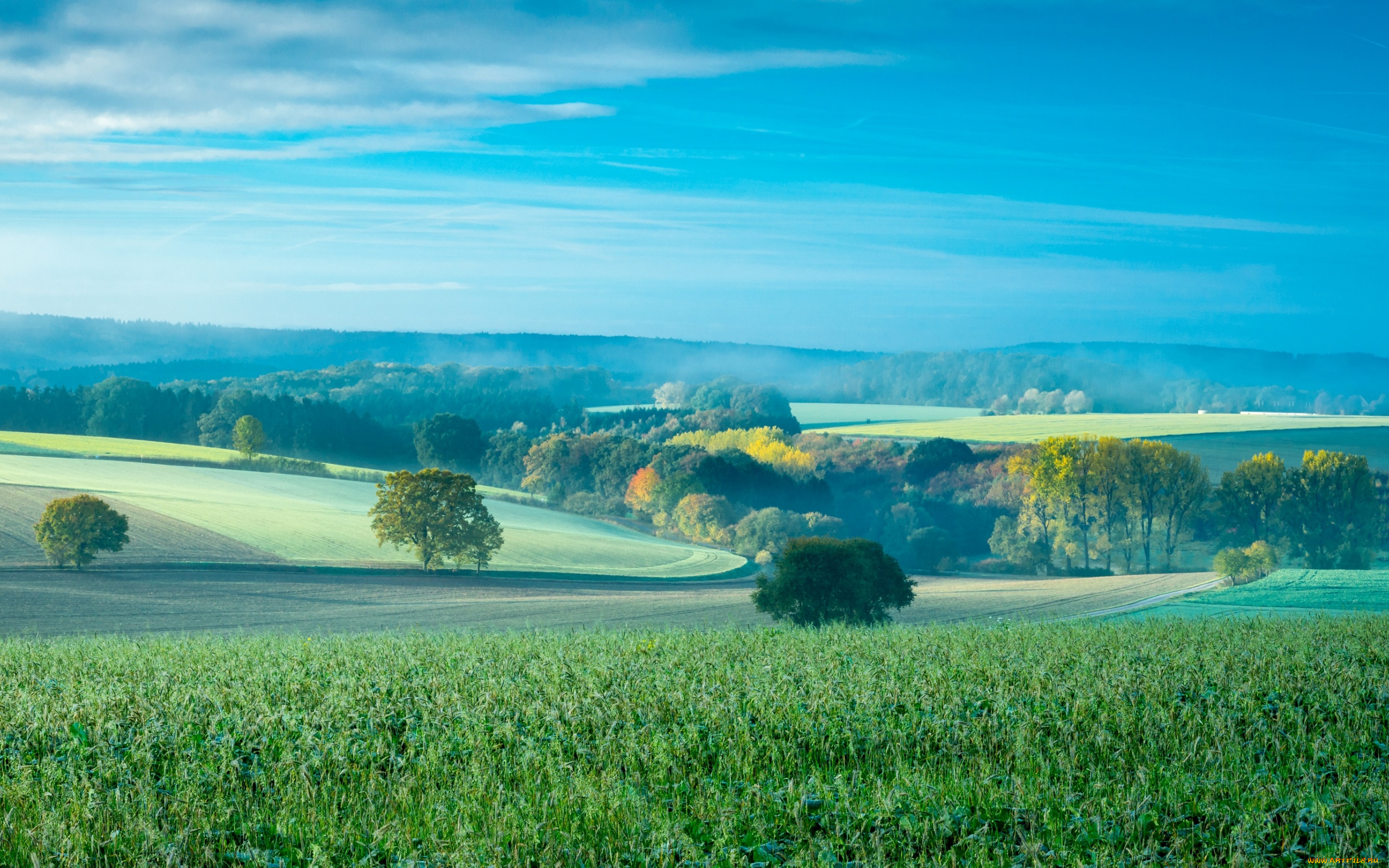 природа, пейзажи, холмы, осень, поля, деревья