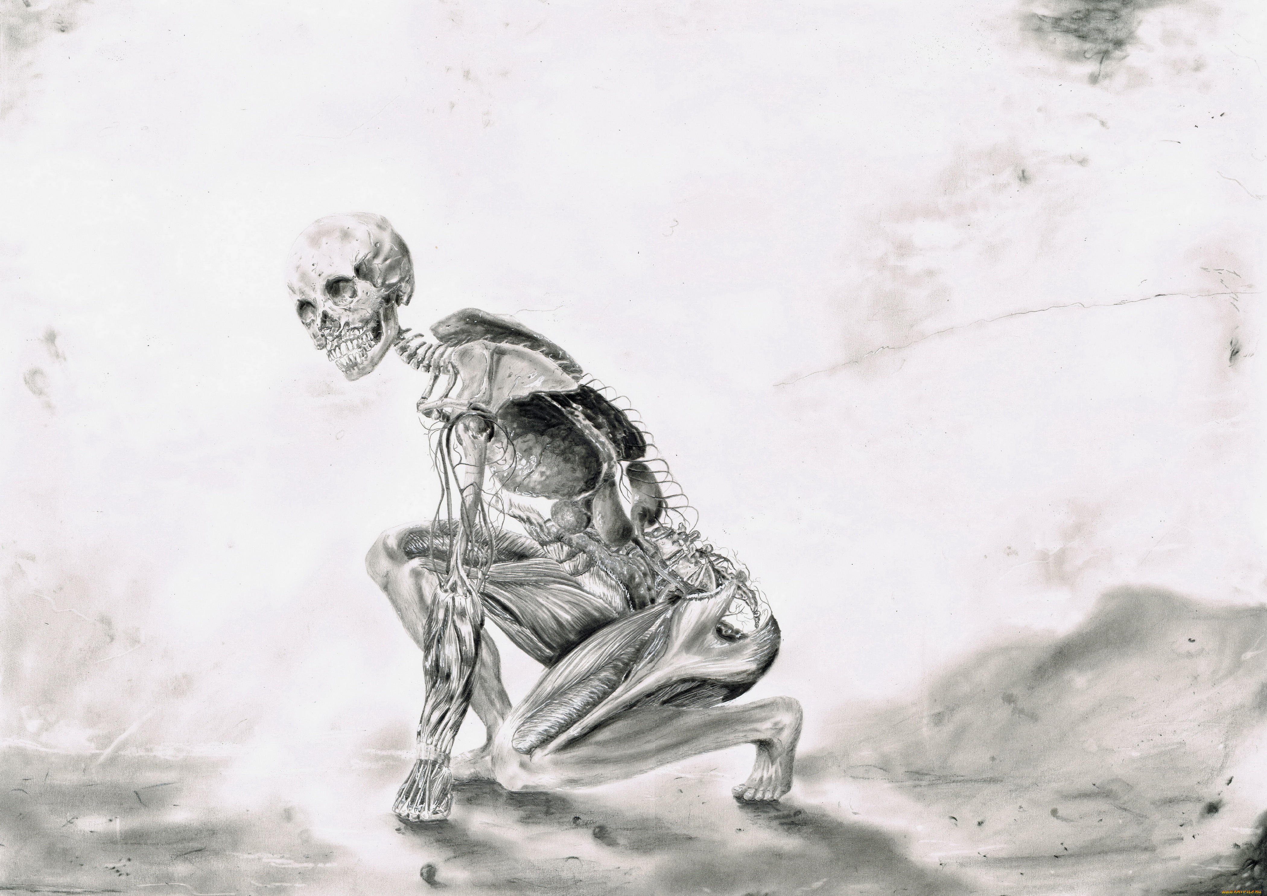 рисованное, абстракция, скилет, фон, взгляд