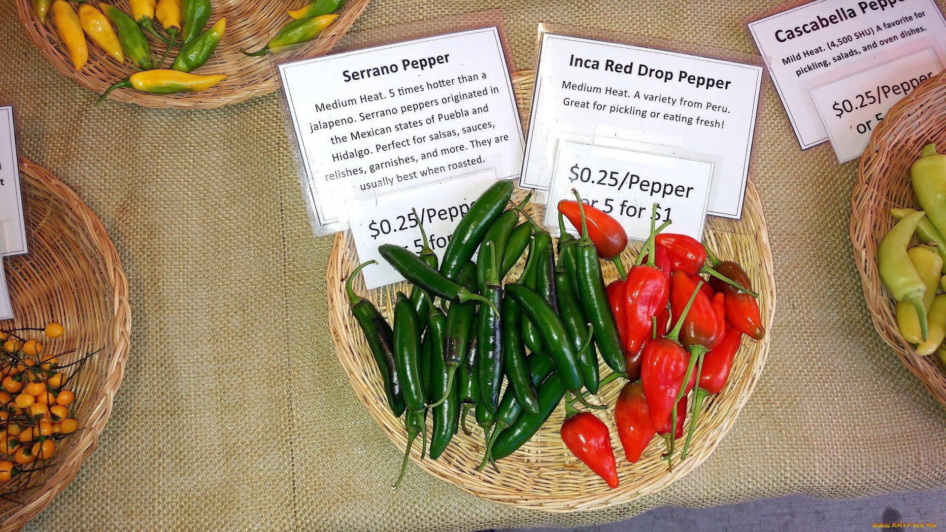 еда, перец, острый, стручки