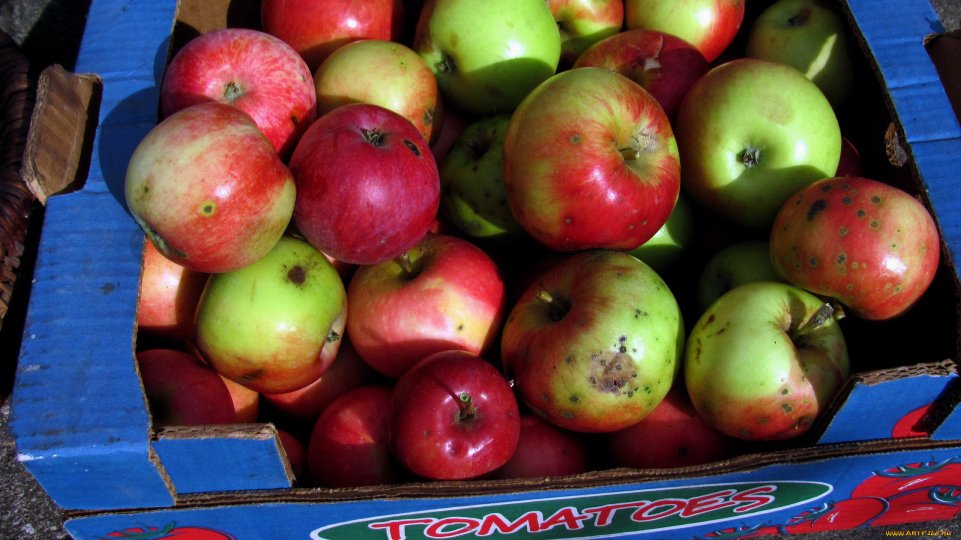 еда, Яблоки, урожай, яблоки, ящик