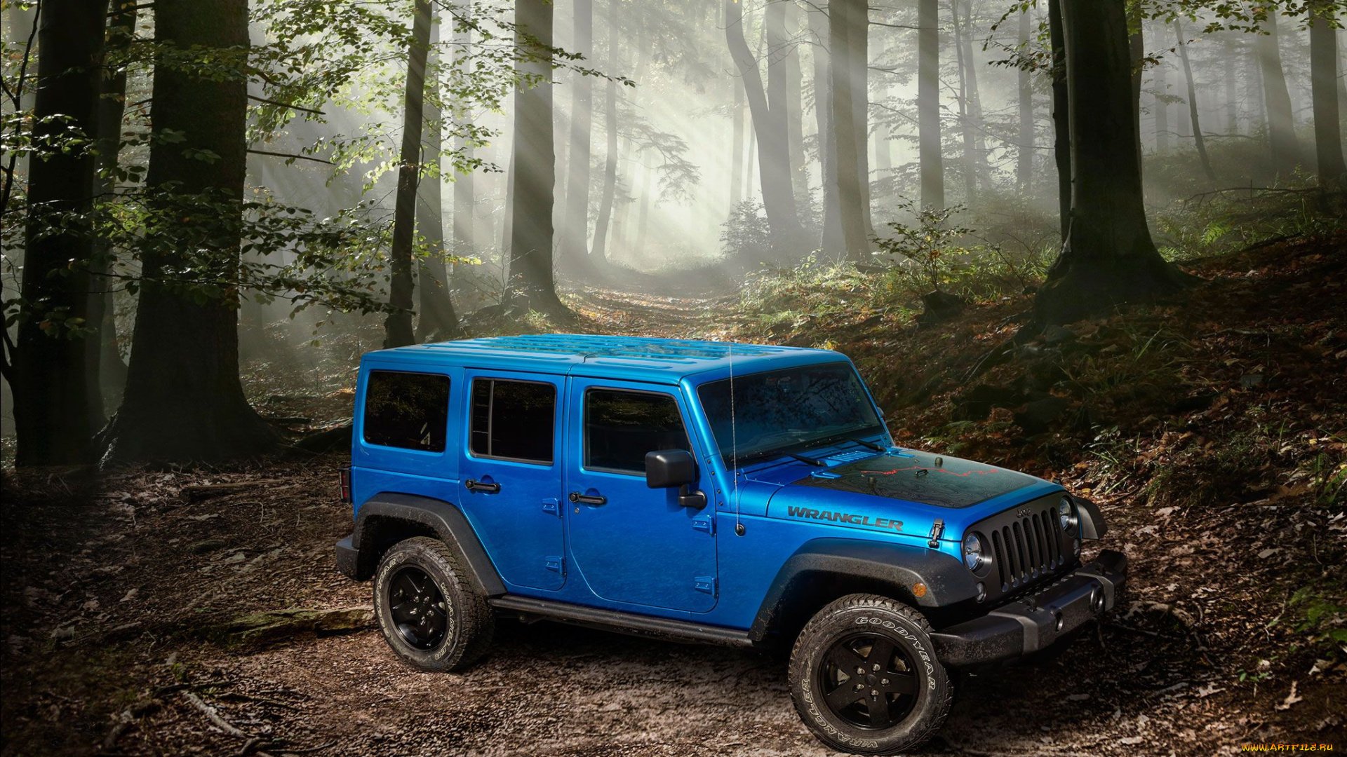 jeep, wrangler, black, bear, edition, 2016, автомобили, jeep, кобальт, 2016, edition, bear, black, wrangler