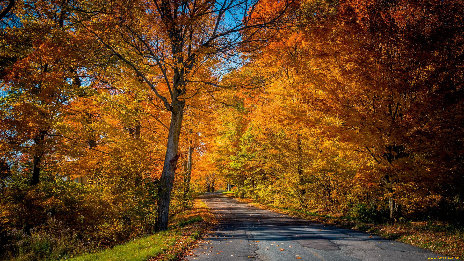 природа, дороги, осень, дорога