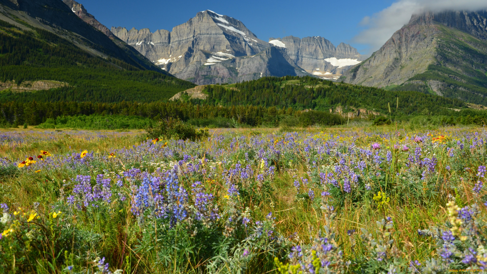 природа, пейзажи, простор