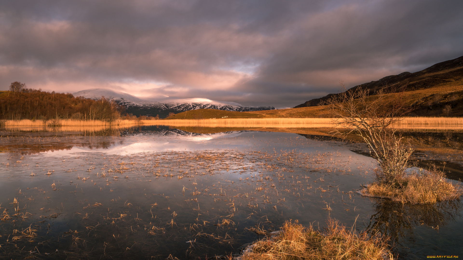 природа, реки, озера, простор