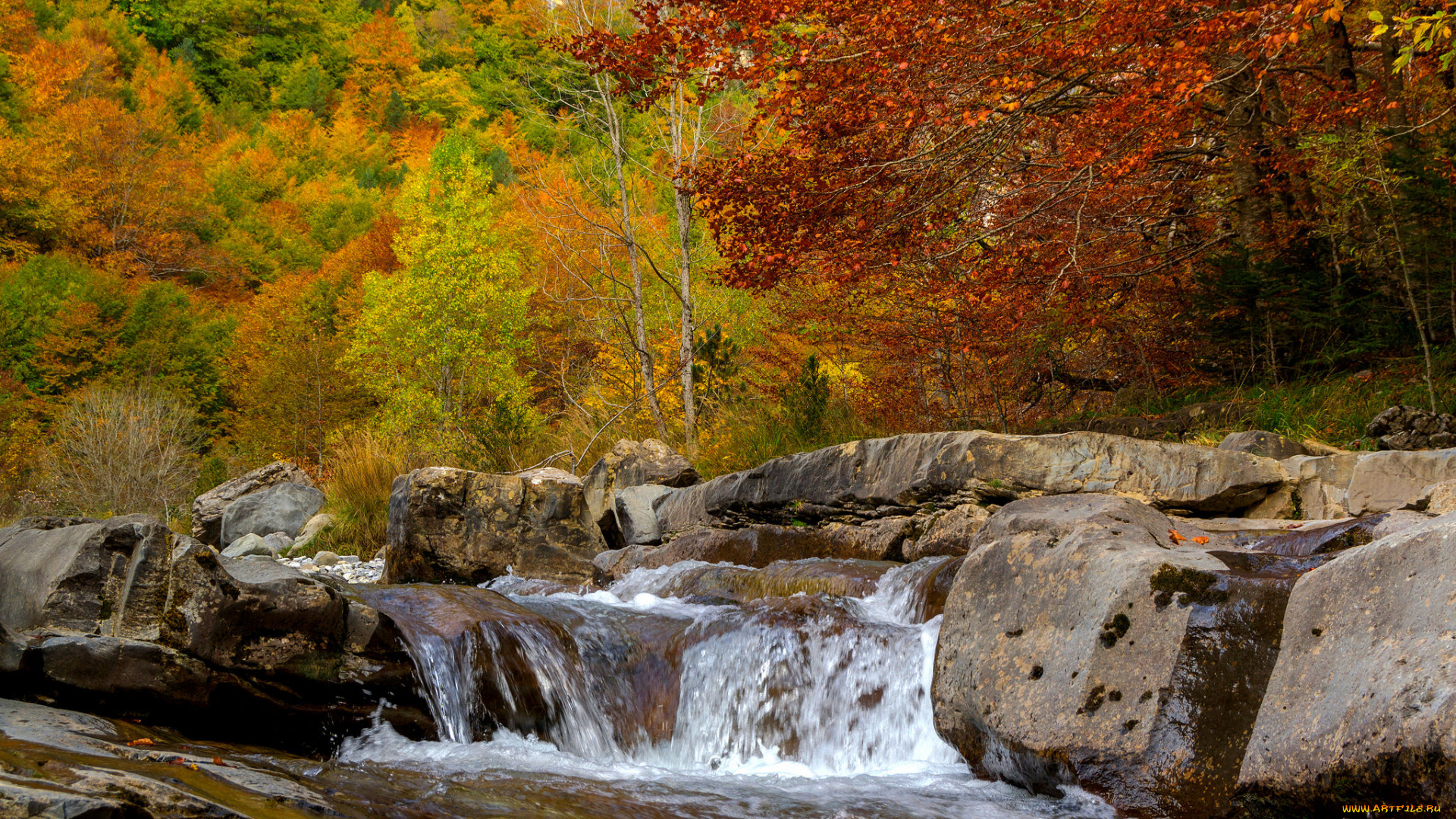 природа, реки, озера, простор