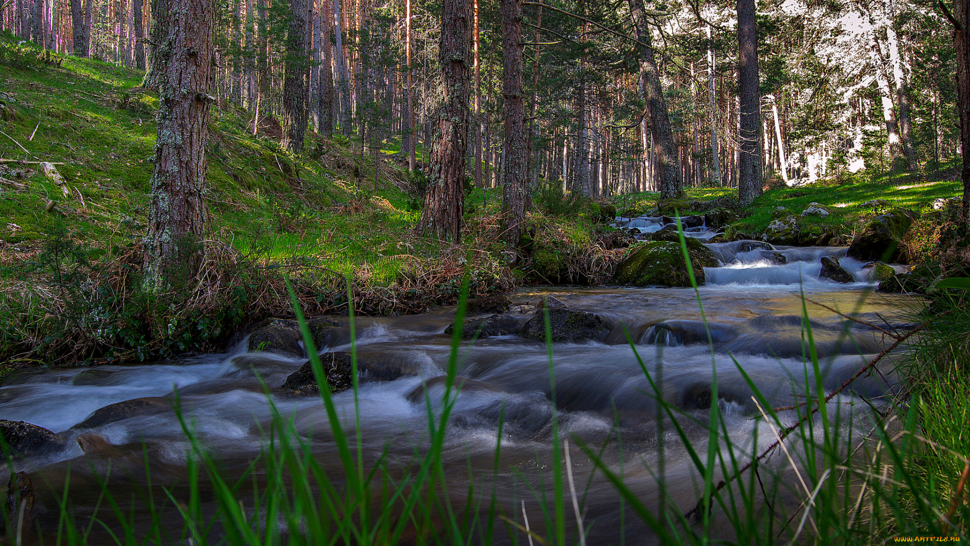 природа, реки, озера, простор