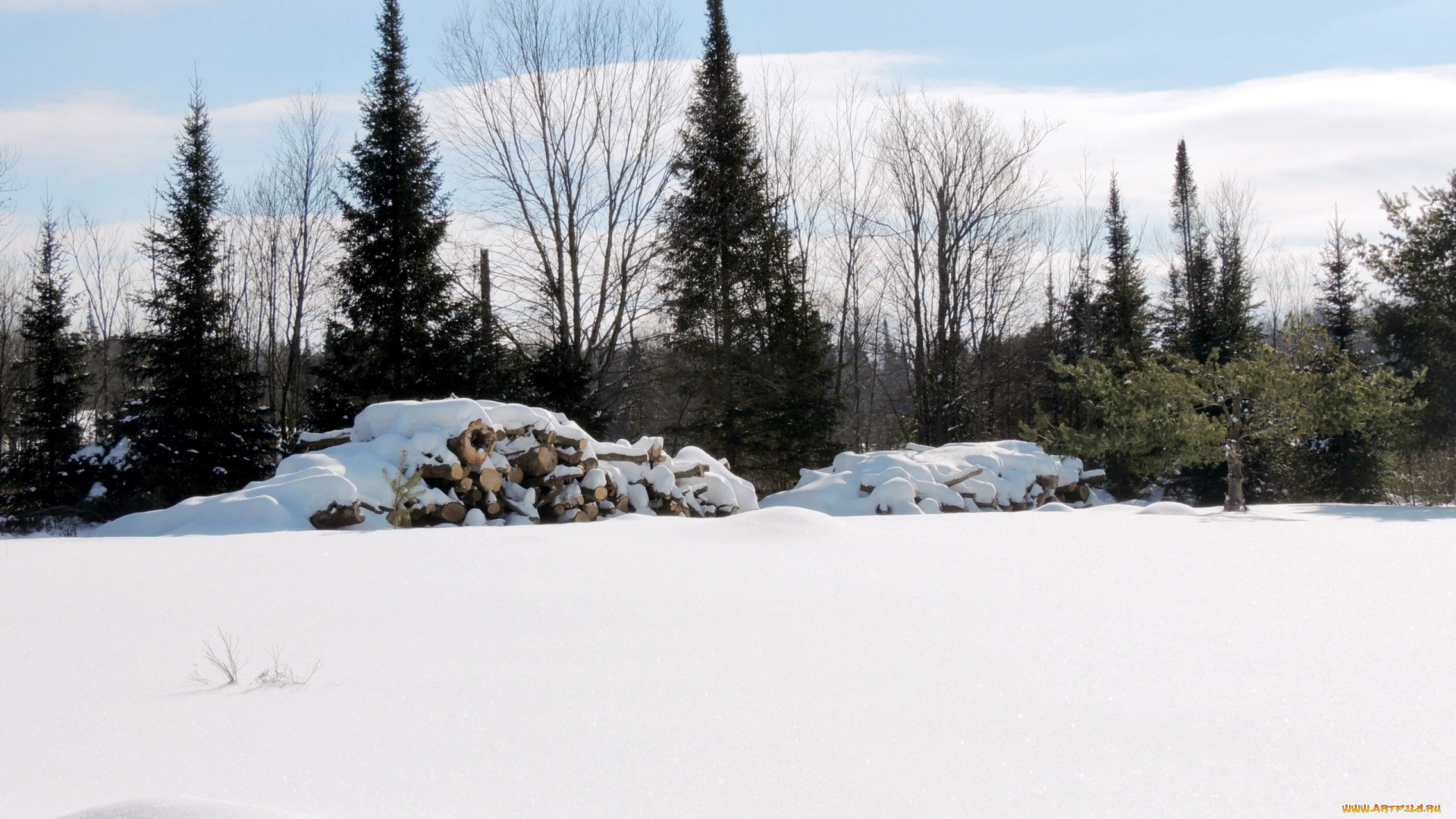 природа, зима, снег, дрова