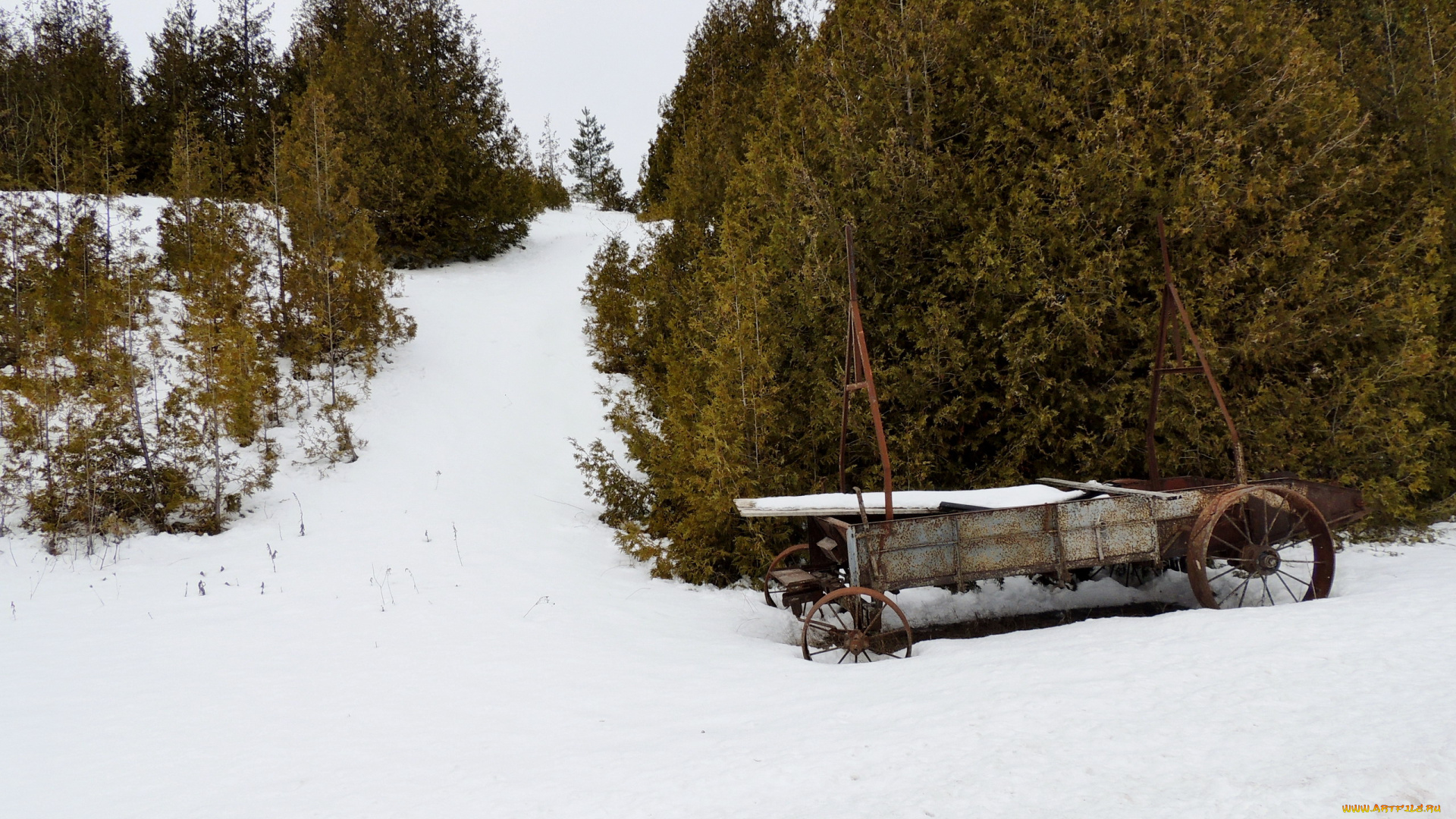 природа, зима, телега, снег