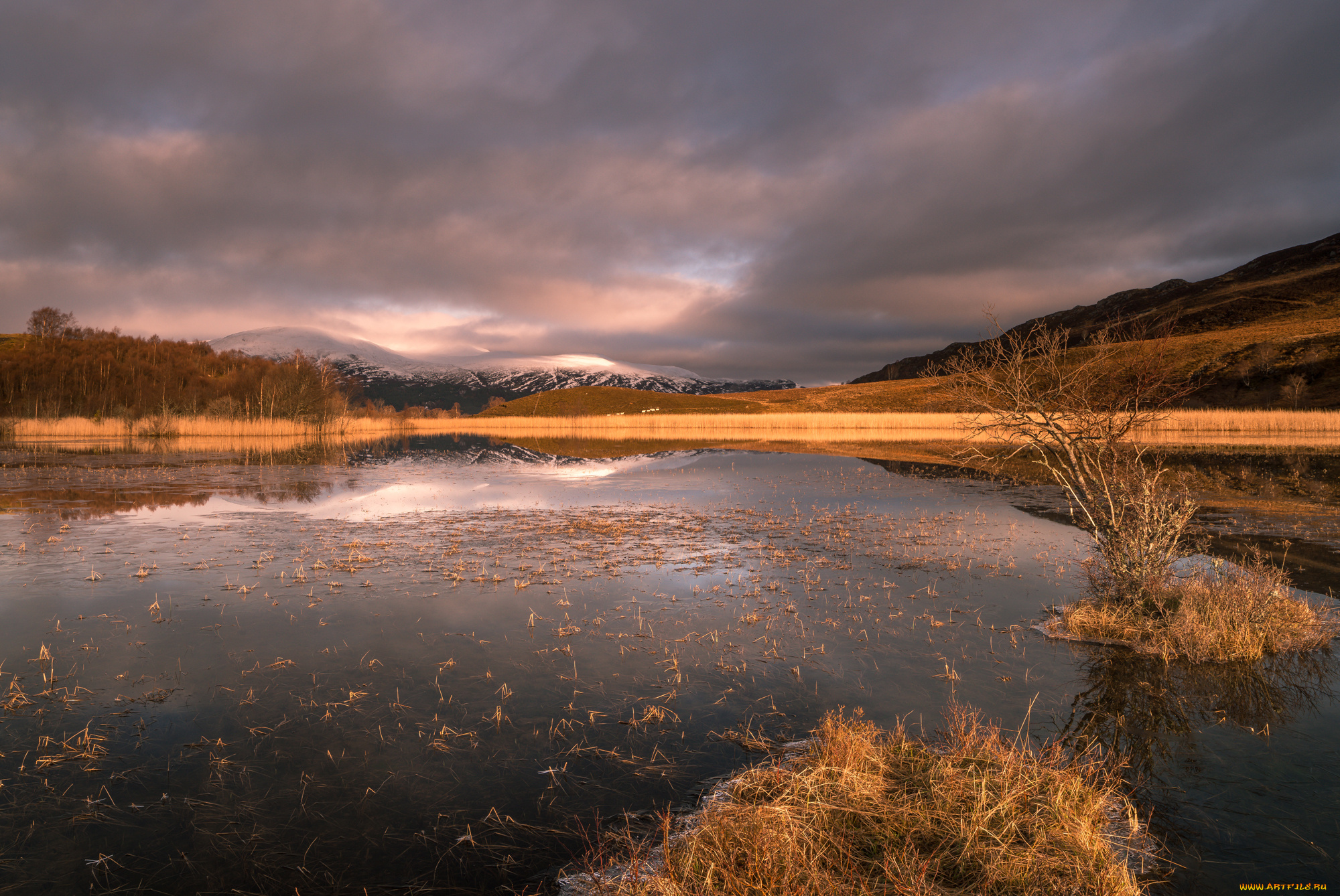 природа, реки, озера, простор