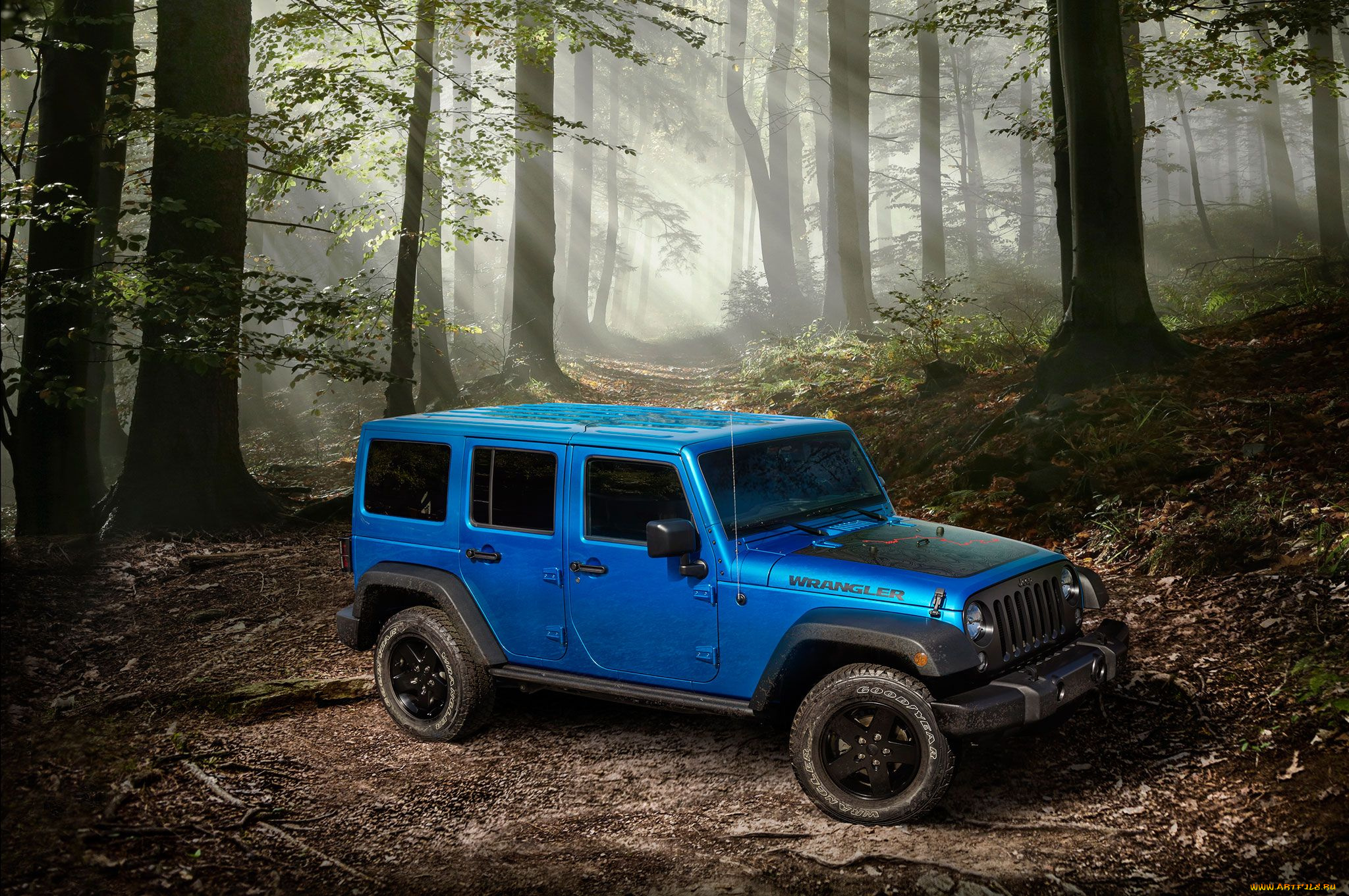 jeep, wrangler, black, bear, edition, 2016, автомобили, jeep, кобальт, 2016, edition, bear, black, wrangler