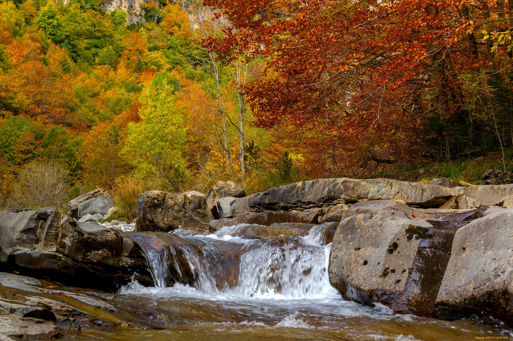 природа, реки, озера, простор