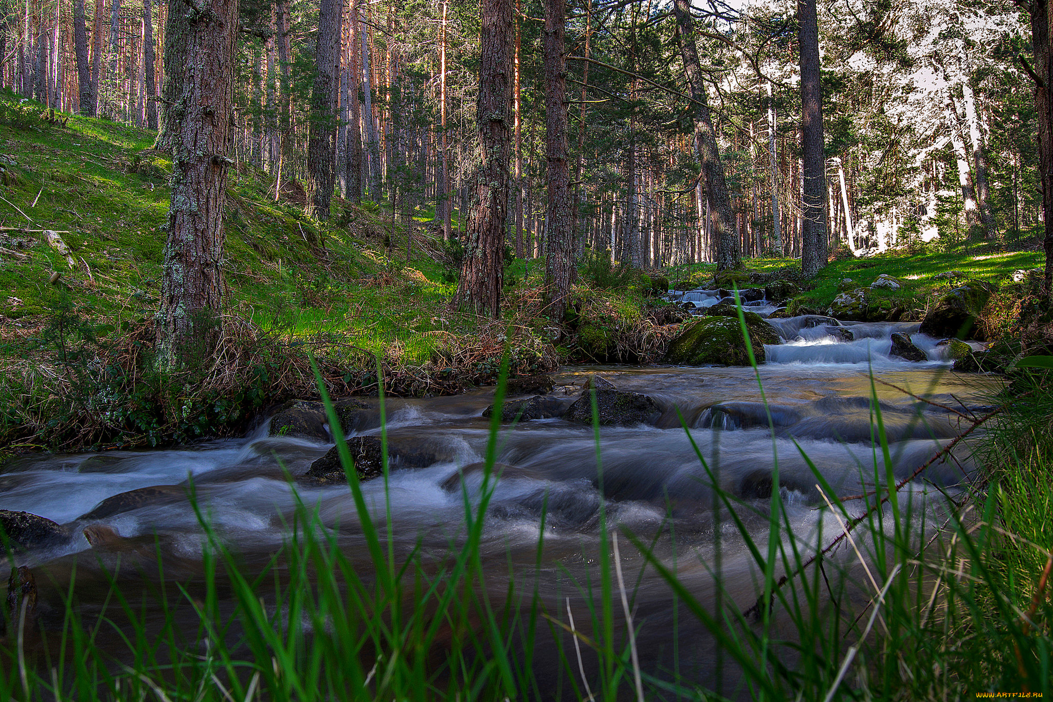 природа, реки, озера, простор