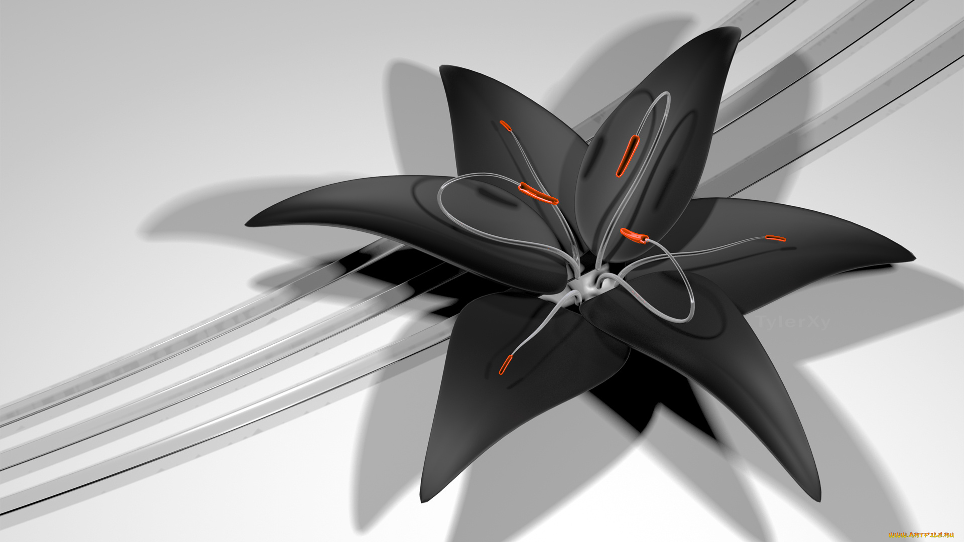 3д, графика, цветы, , flowers, цвет, фон, узор