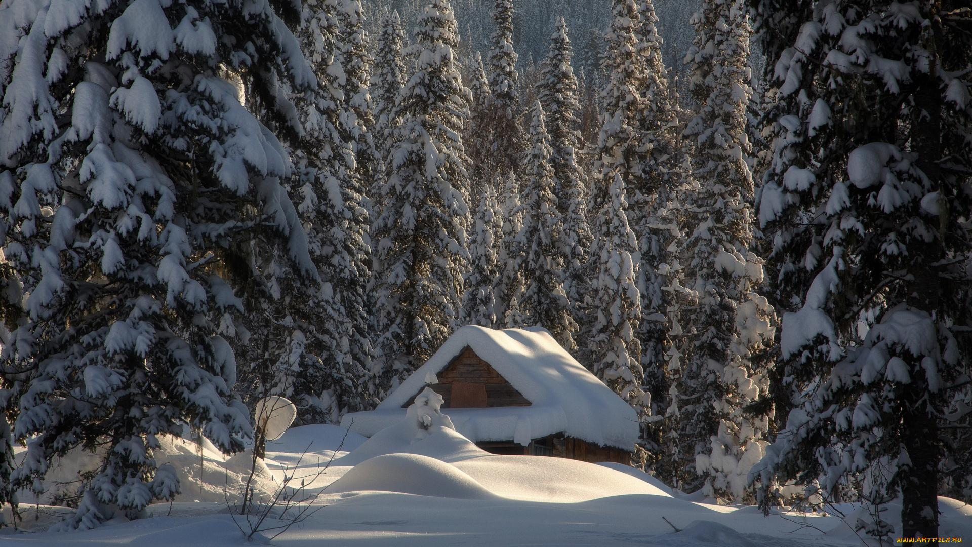 города, -, здания, , дома, зима, лес, снег, избушка, ели, сугробы, хижина, россия
