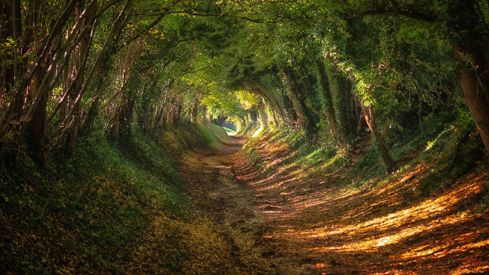 природа, дороги, простор