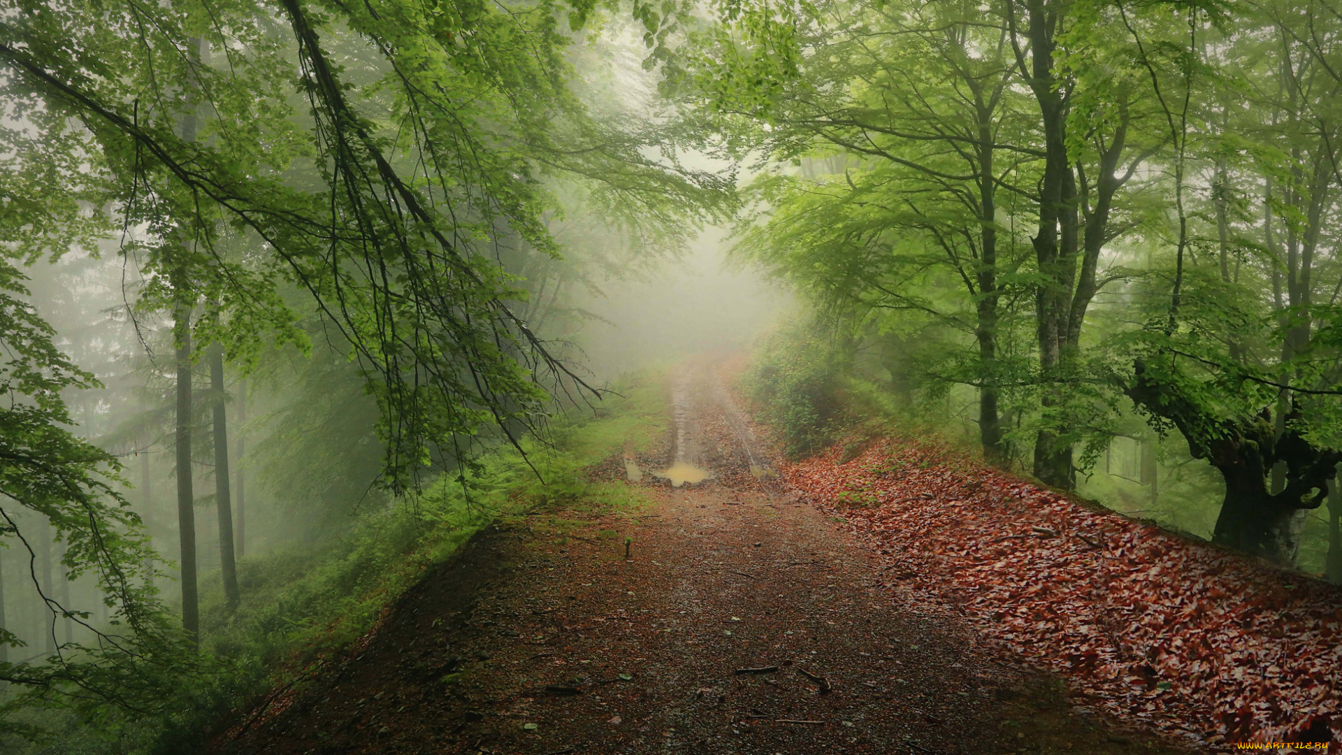 природа, дороги, простор